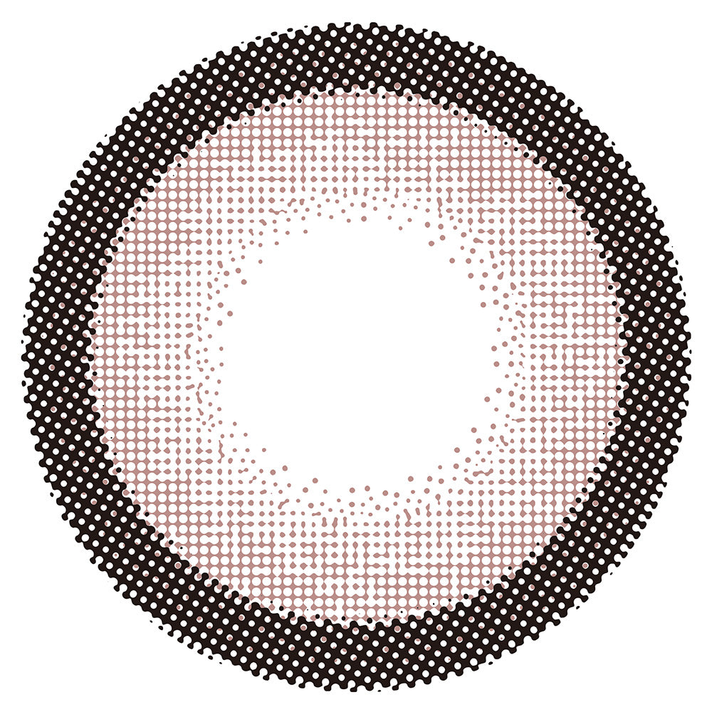 돌체로즈브라운 | 1day