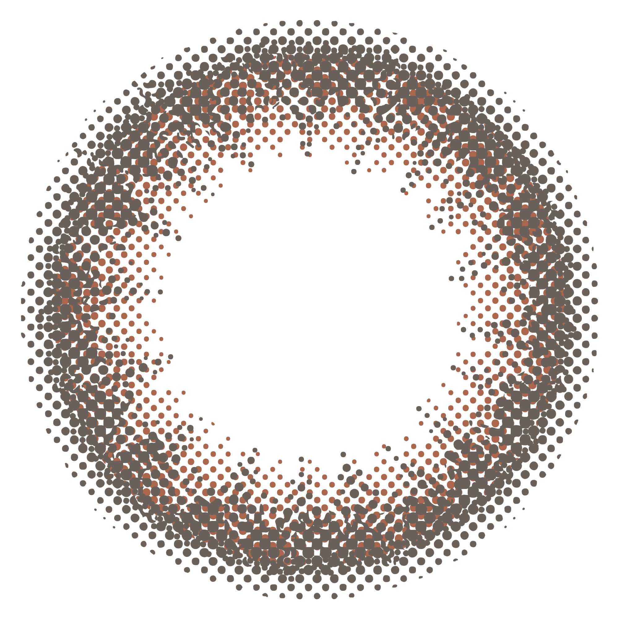 カラーコンタクトレンズ、envie マルーンブラック | 1day 10枚入のレンズ画像