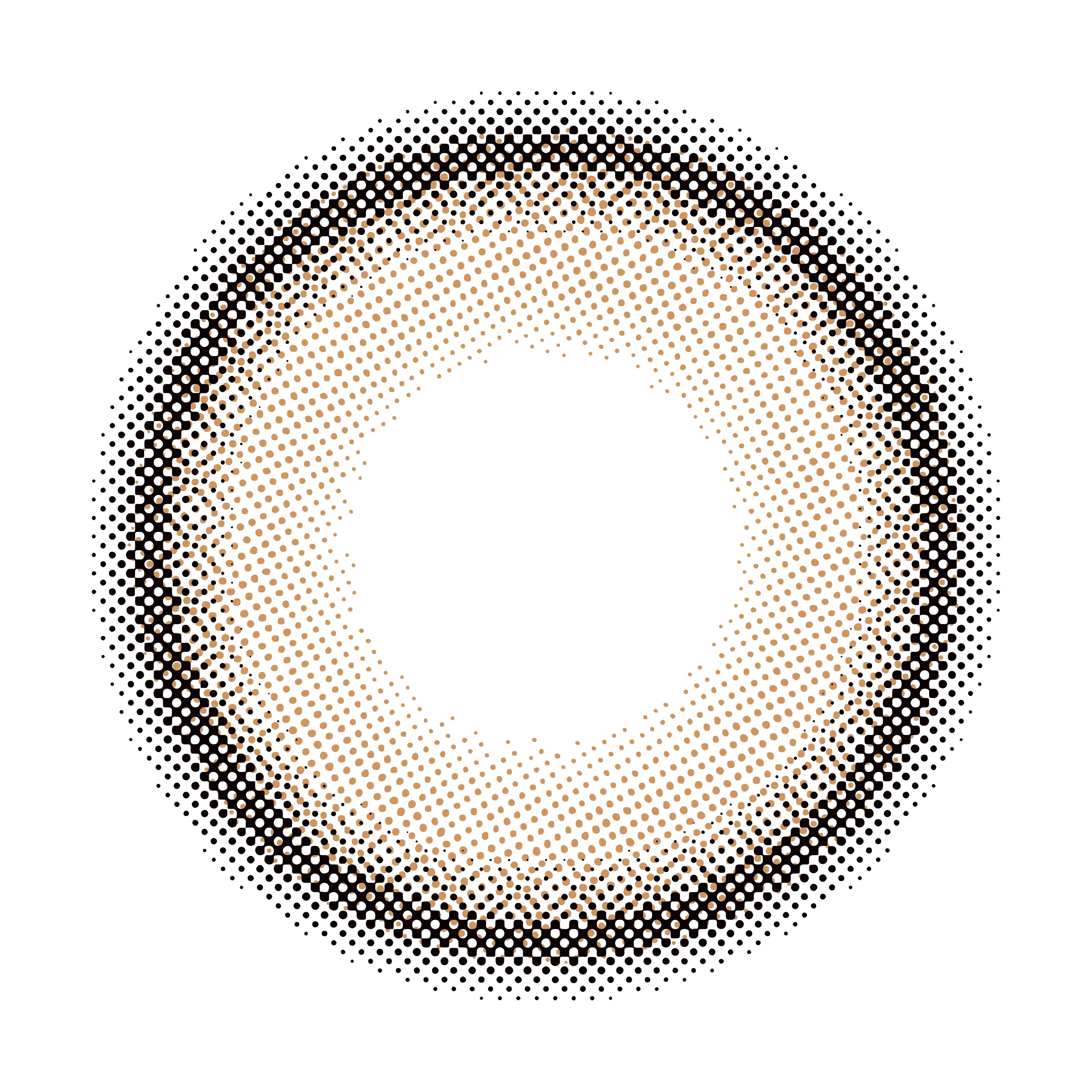 Anneau de Tiramisu |. 1 jour