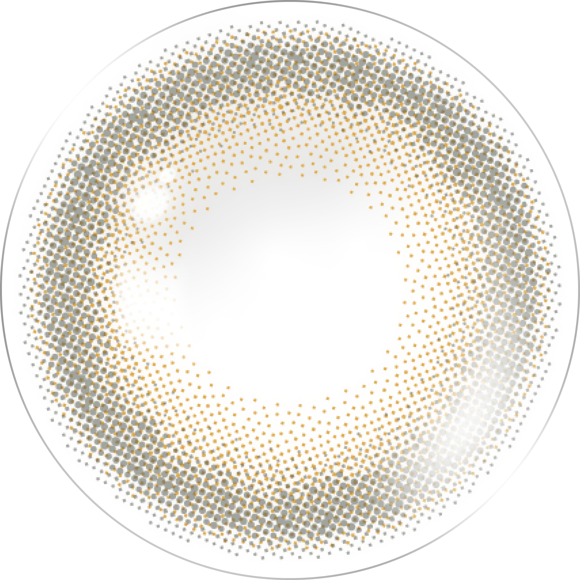 เบบี้เกรย์จ์ | 1วัน