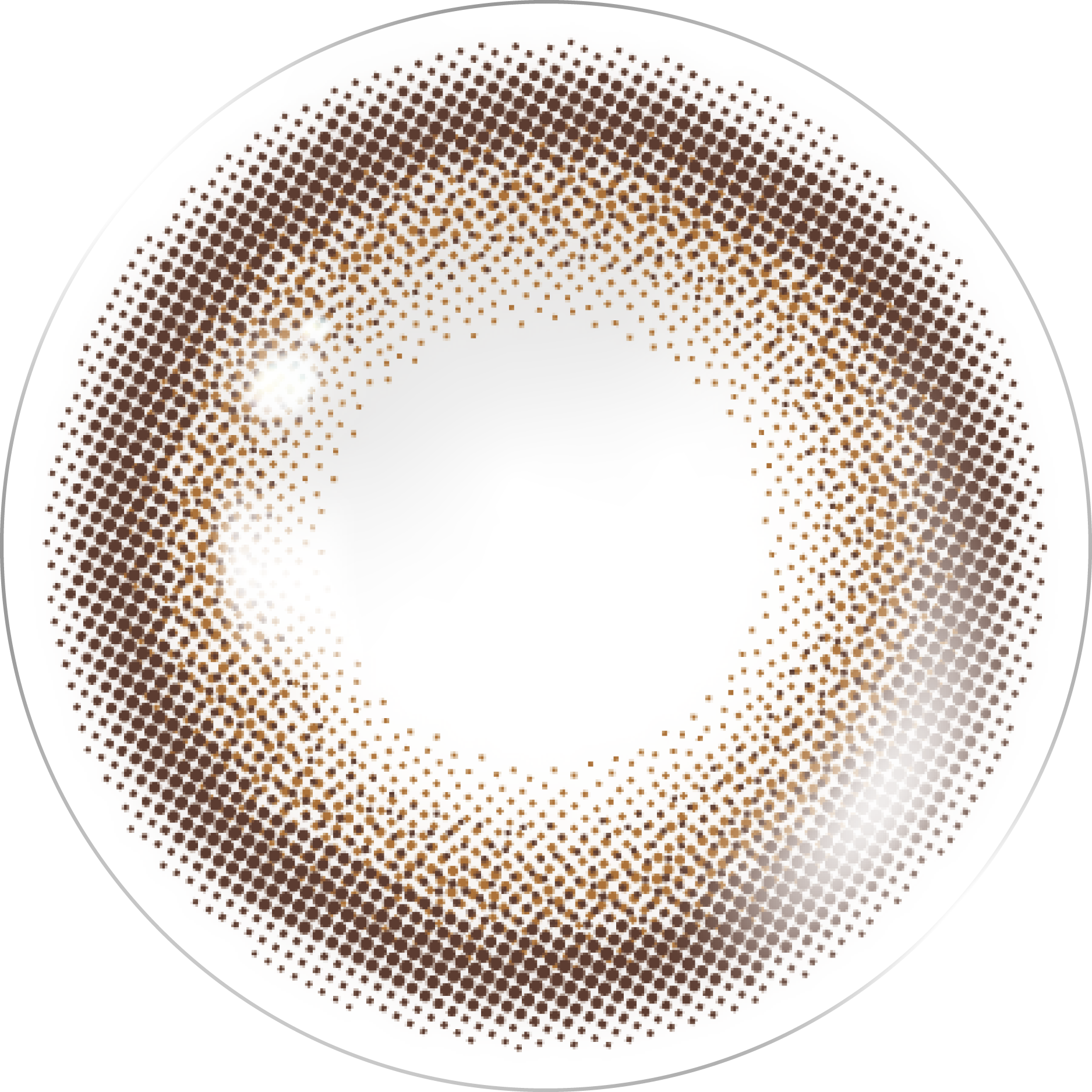 เชียร์ลีดเดอร์ | 1วัน
