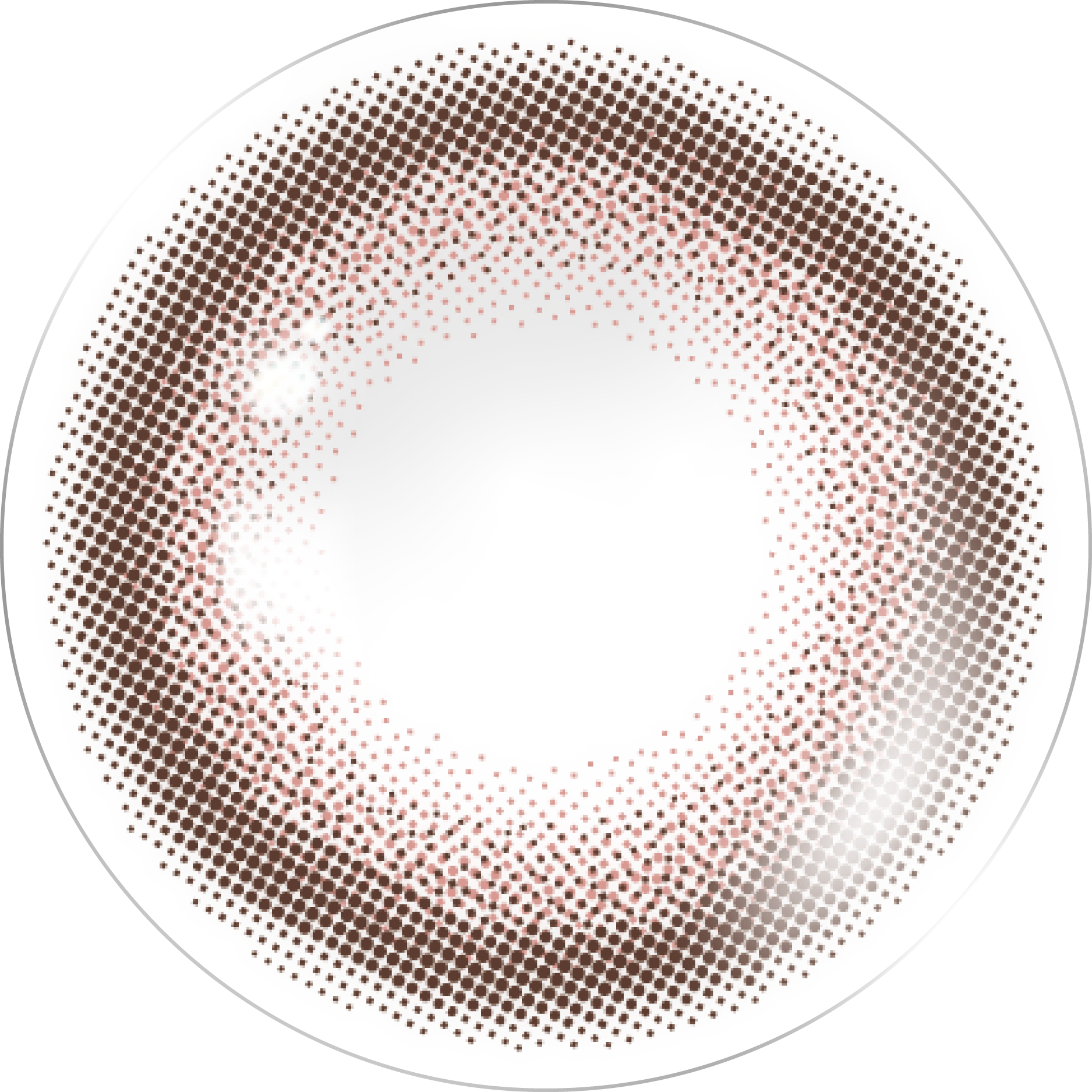 เมโรウโรเซ | 1วัน