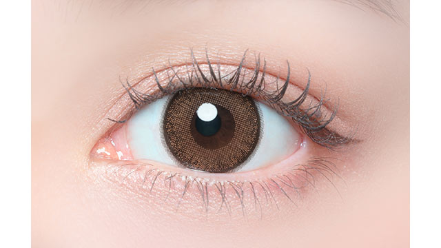 เมเปิลชิฟอน เลนส์โทริก | 1วัน