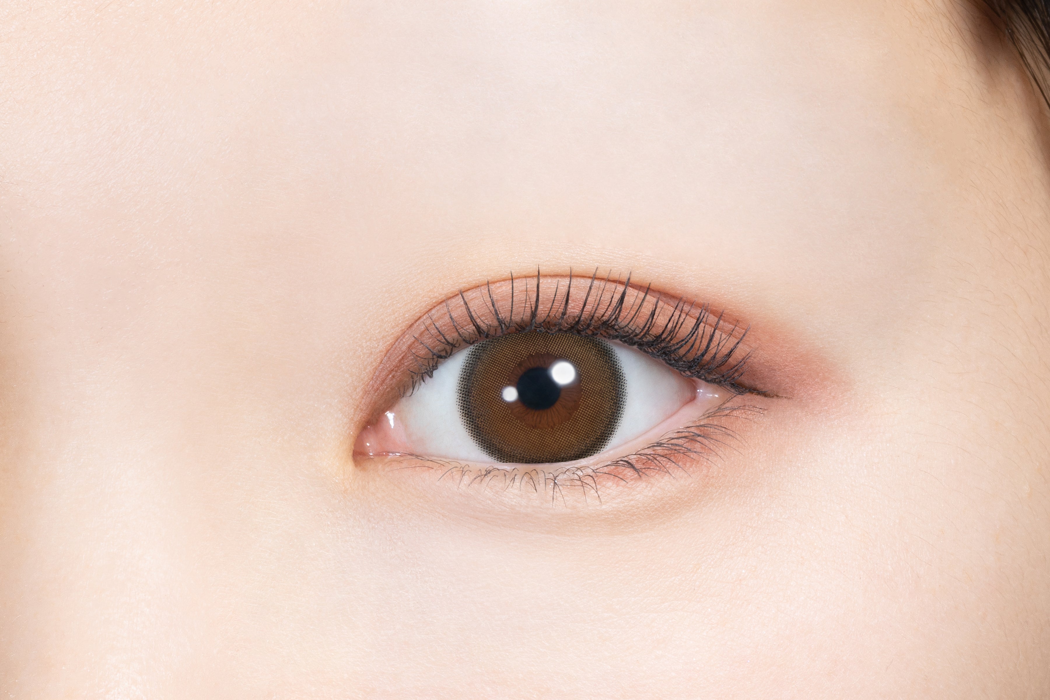 MillediMàu nâu | 1 ngày