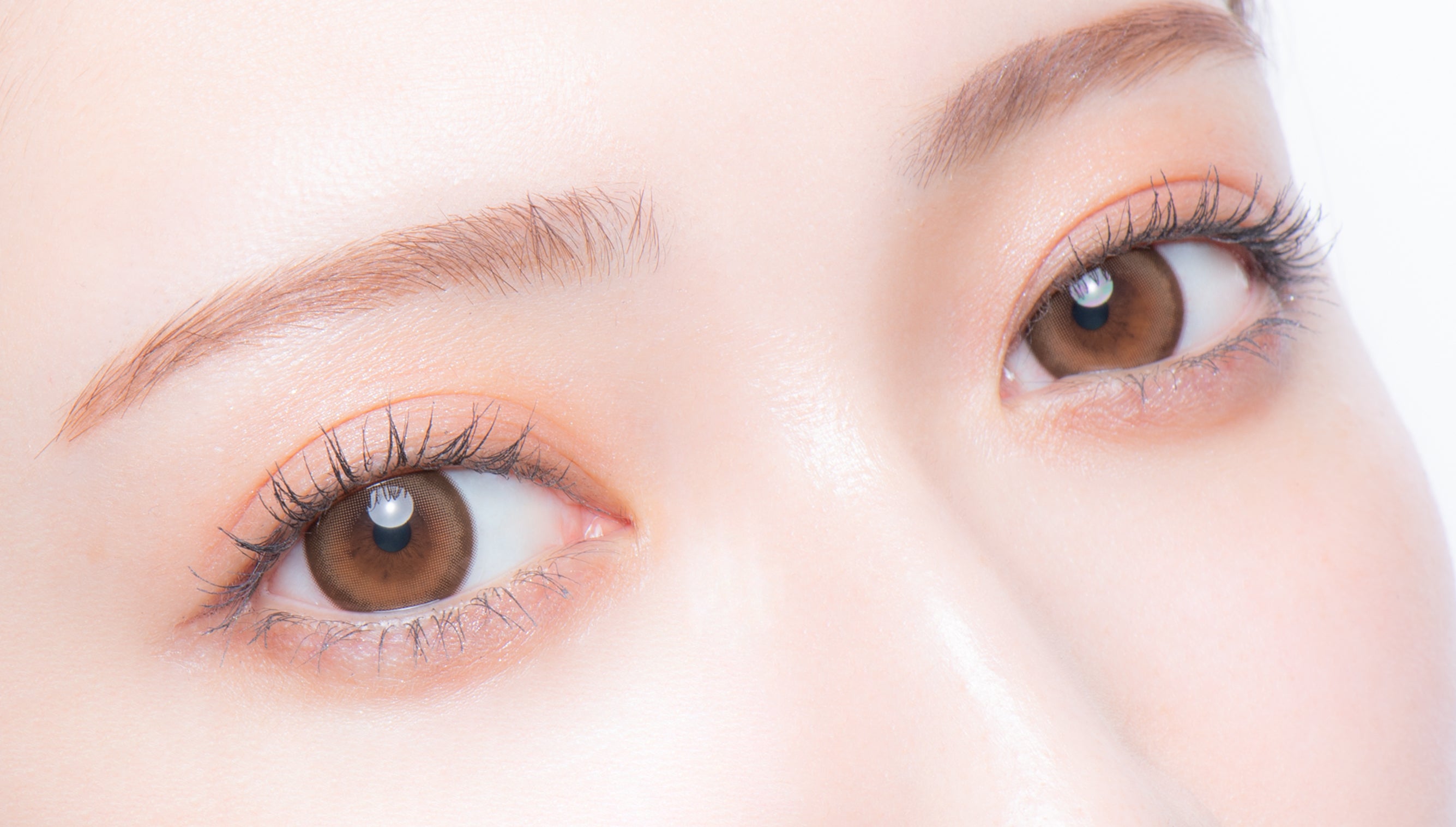 Urso Secreto |. 1 dia