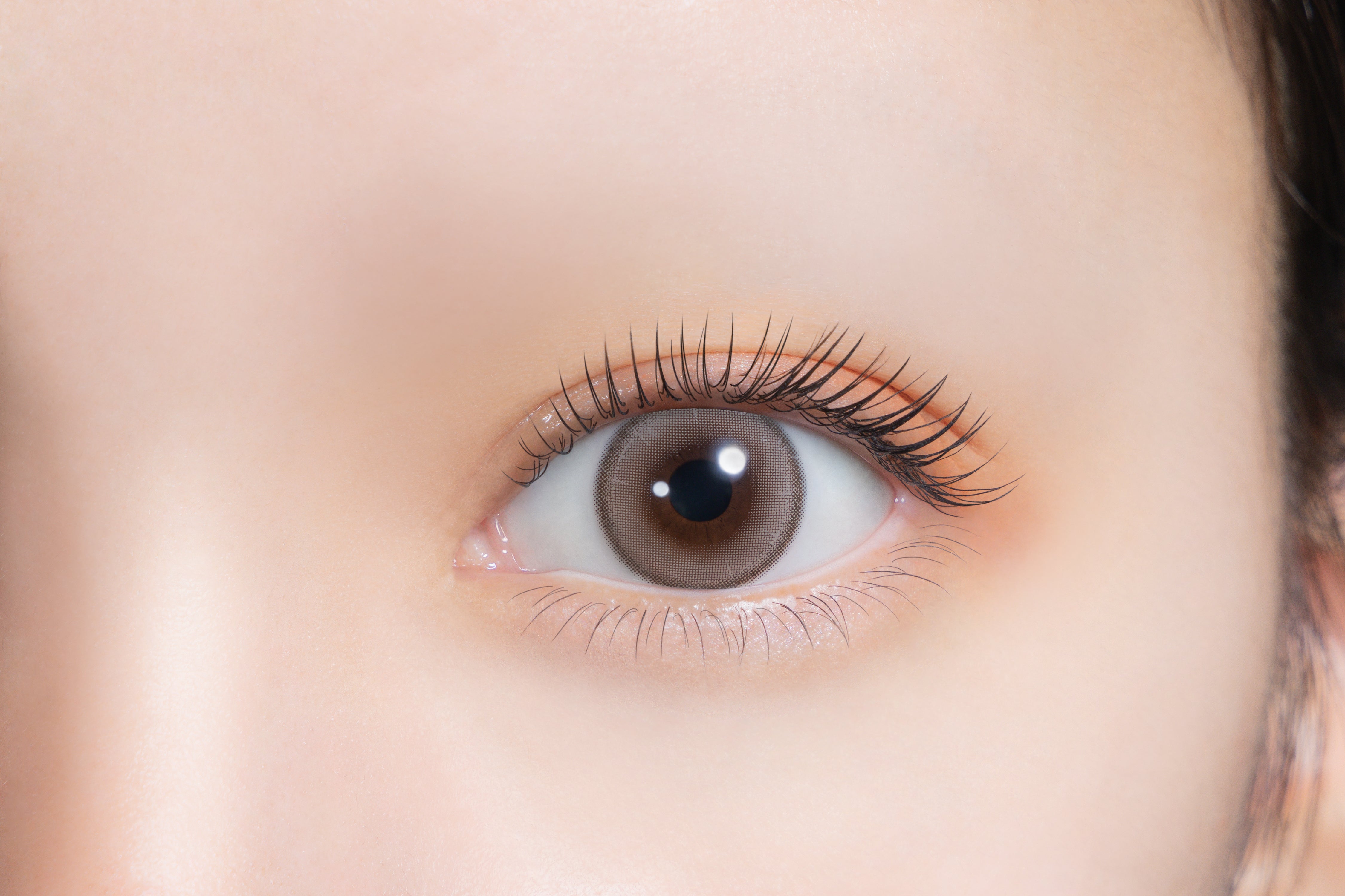 มูนลาเต้ | 1วัน