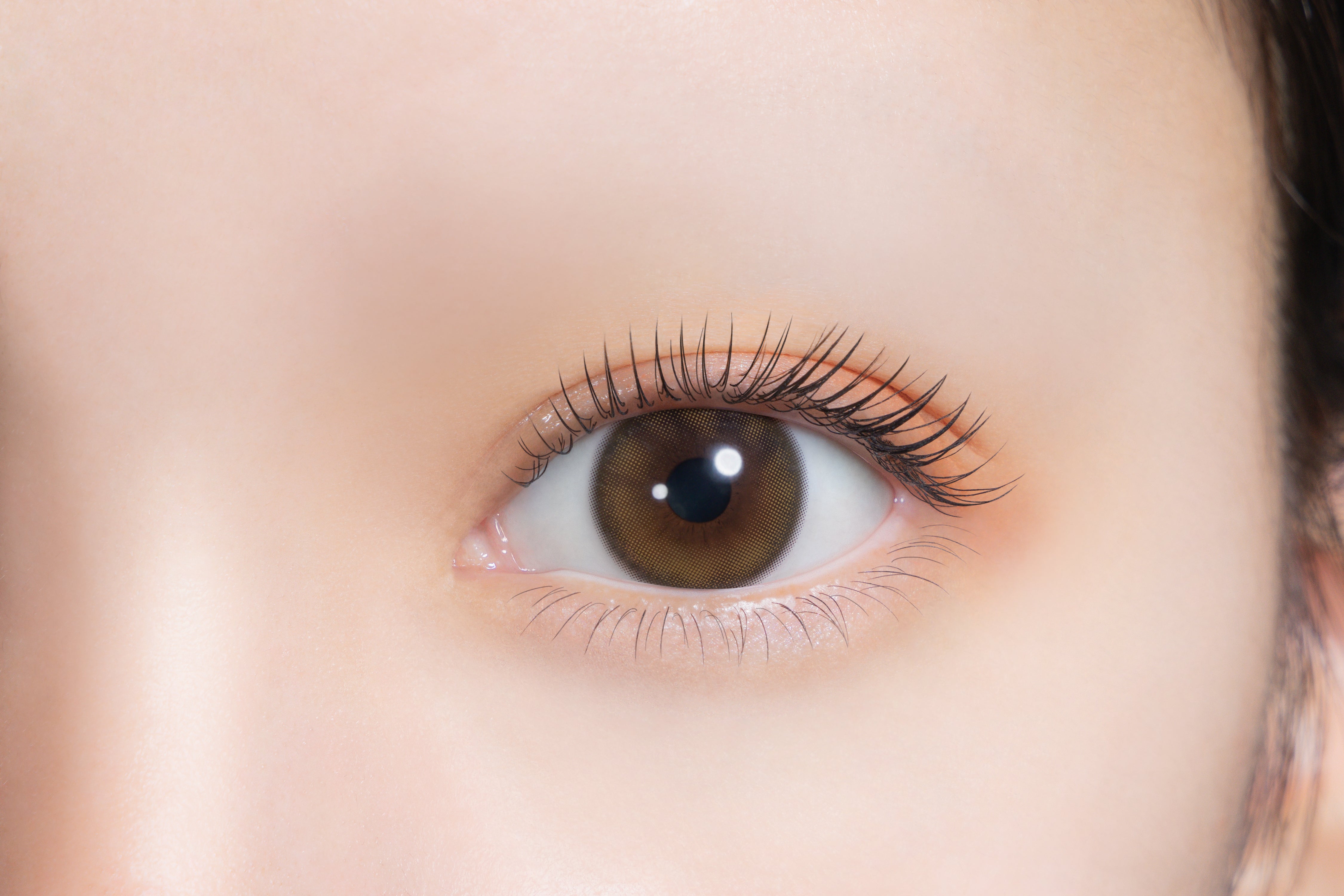 شراب العسل |. 1 يوم