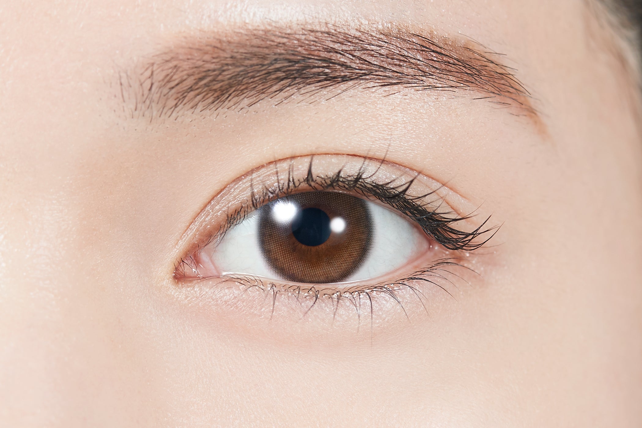 글로우 브라운 | 글로우 브라운 1일용