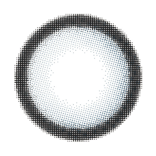 파리 | 파리 1일용