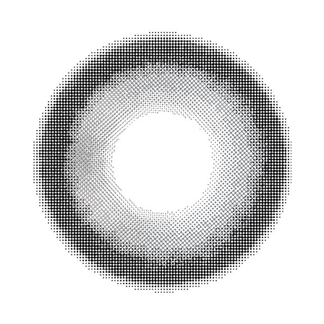 رأس الأفعى الشمالي (نوع من الأسماك، تشانا أرجوس)الرمادي | 1 شهر