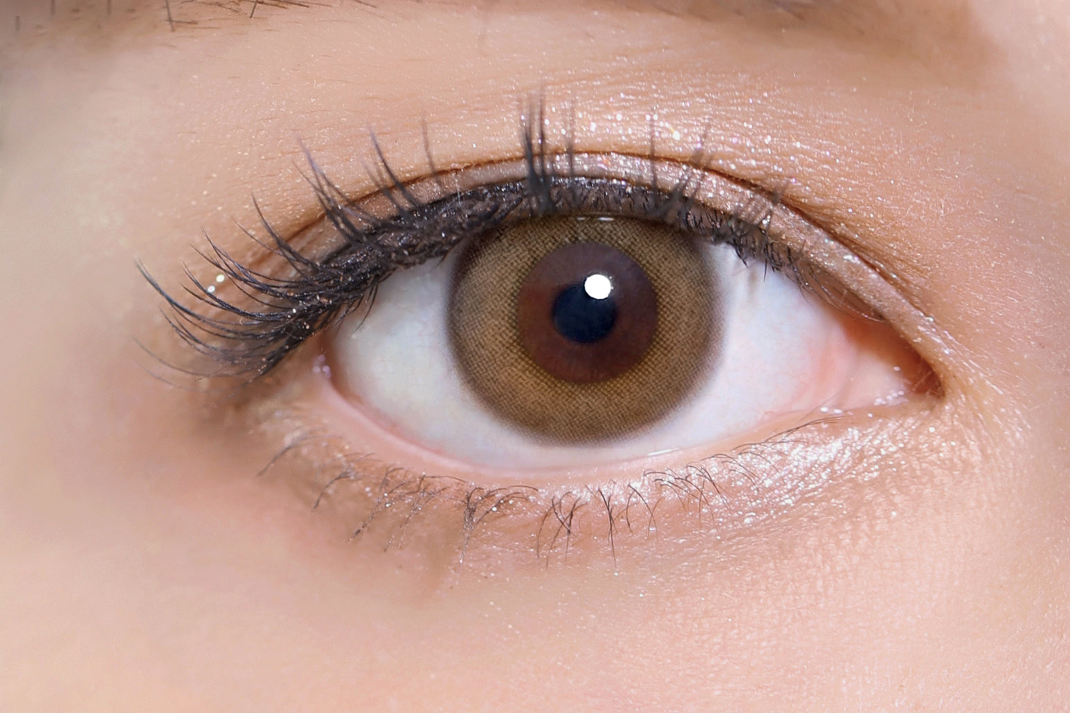 진주핑크 | 1일용