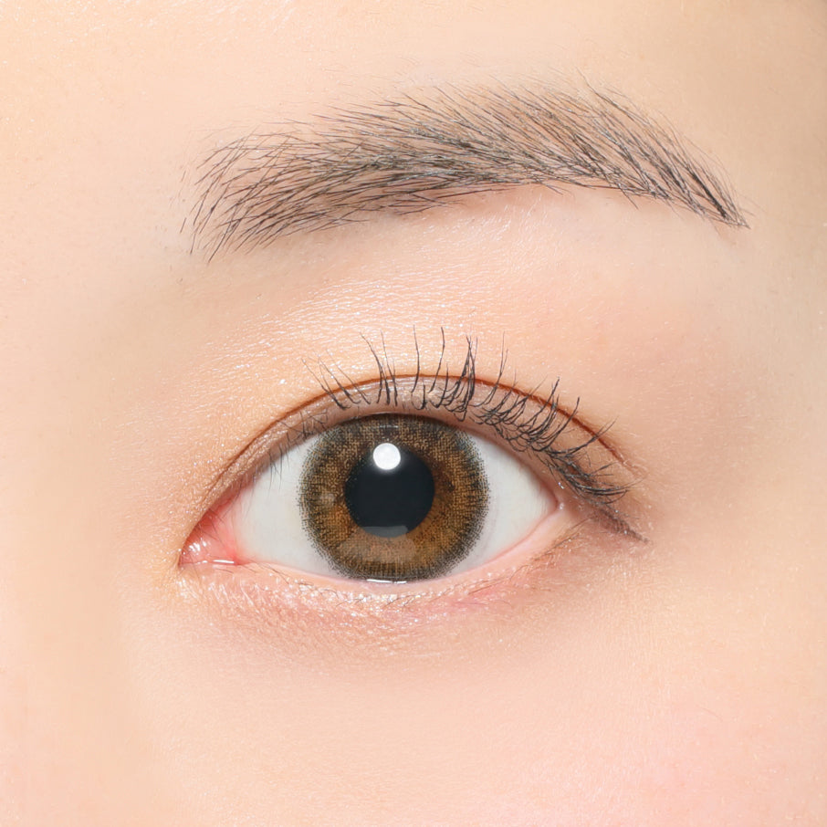 노스탤지어 | 노스탤지어 1개월용