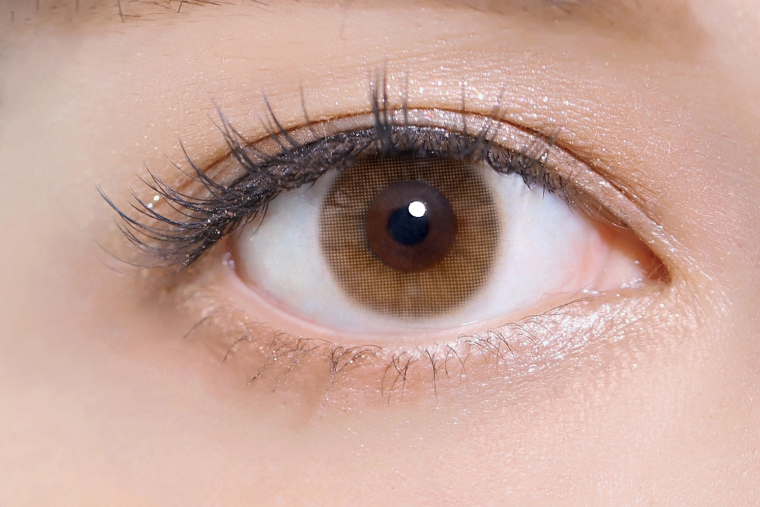 السلمون | 1 يوم