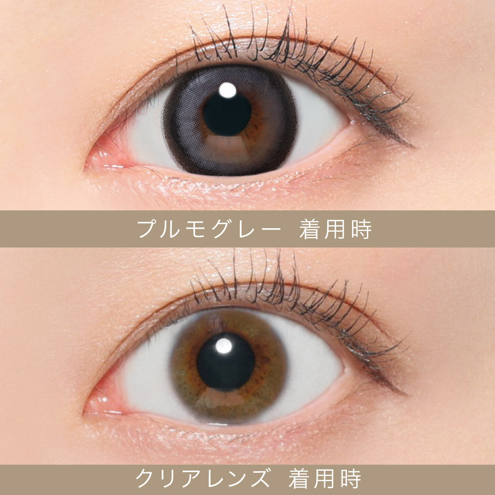 رأس الأفعى الشمالي (نوع من الأسماك، تشانا أرجوس)الرمادي | 1 شهر