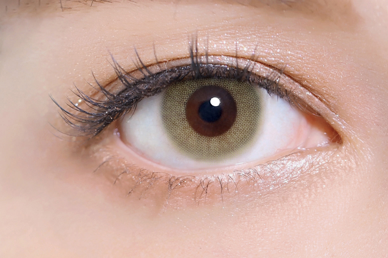 ซีกริน | 1วัน