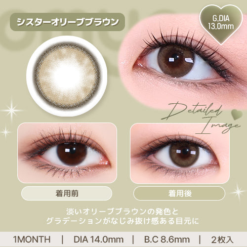 시스터 올리브 브라운 | 1month