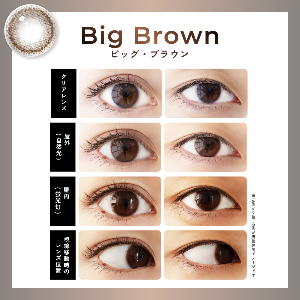 Großes Braun | 1day