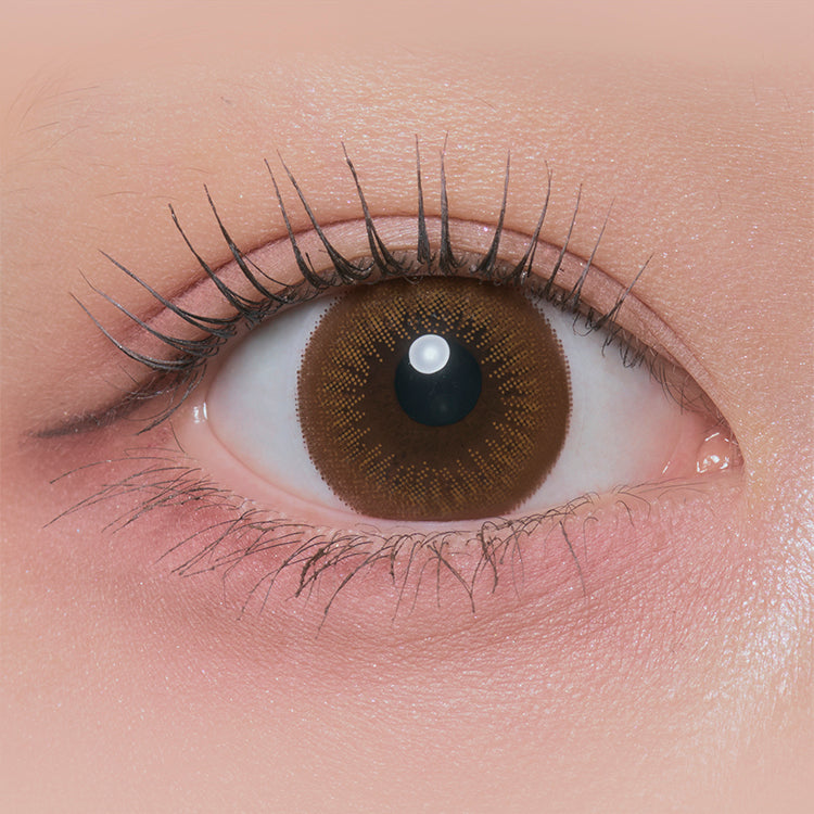 The Carnivore's |. 1Tag