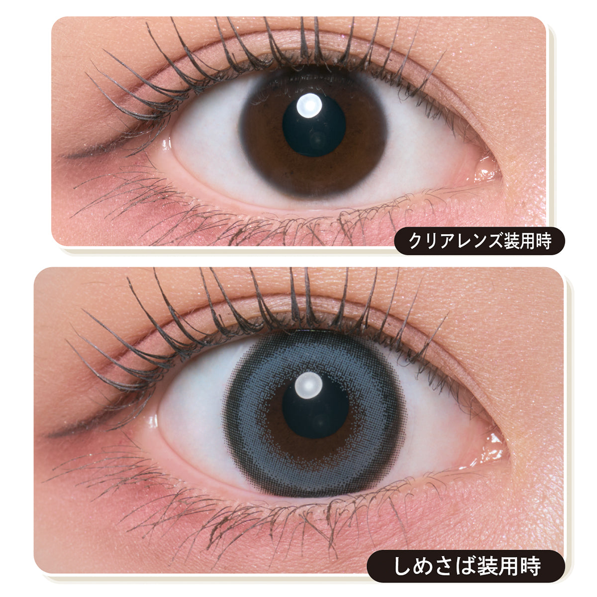 ปลาซาบะดอง | 1วัน