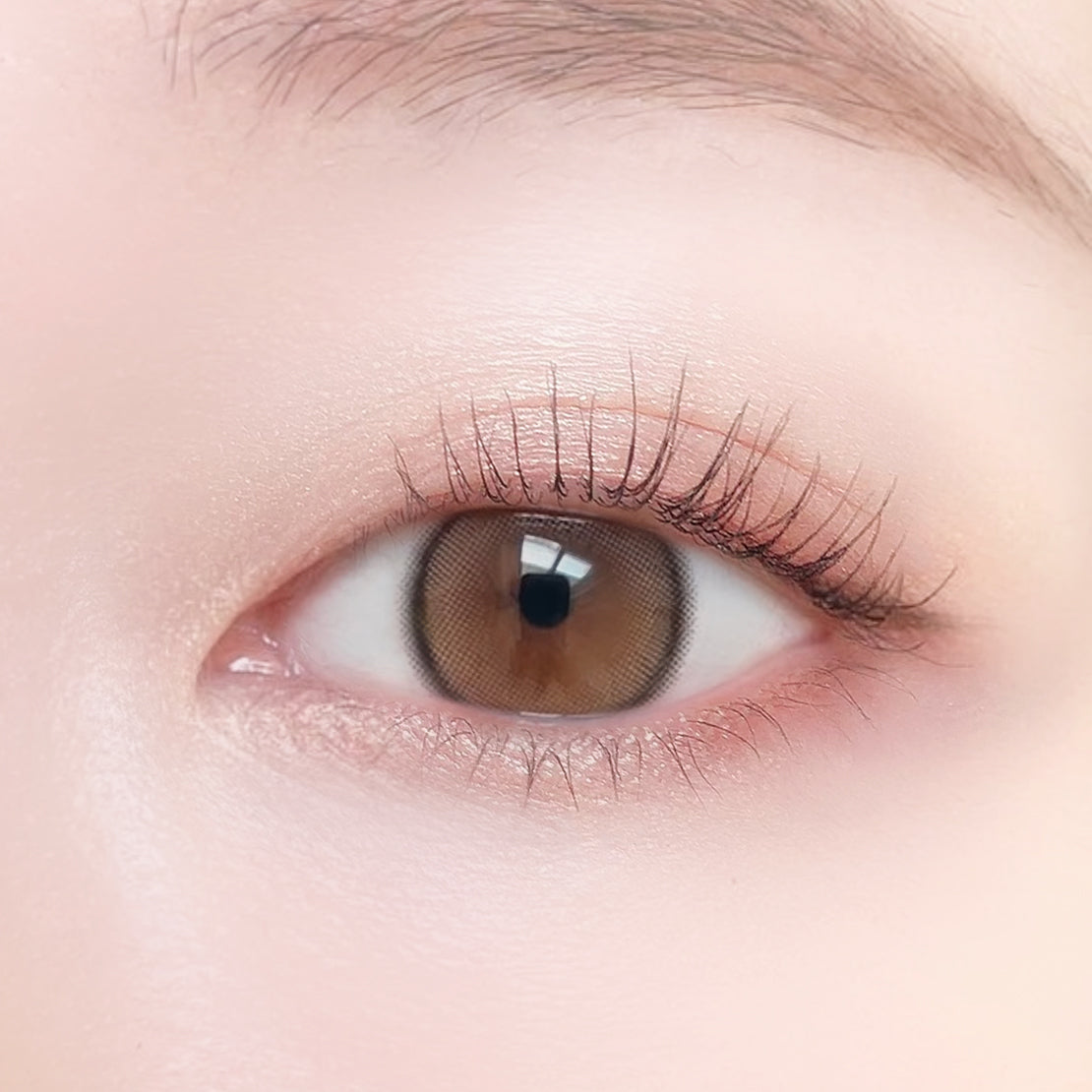 Mặt trăng đầy đủ | 1 ngày