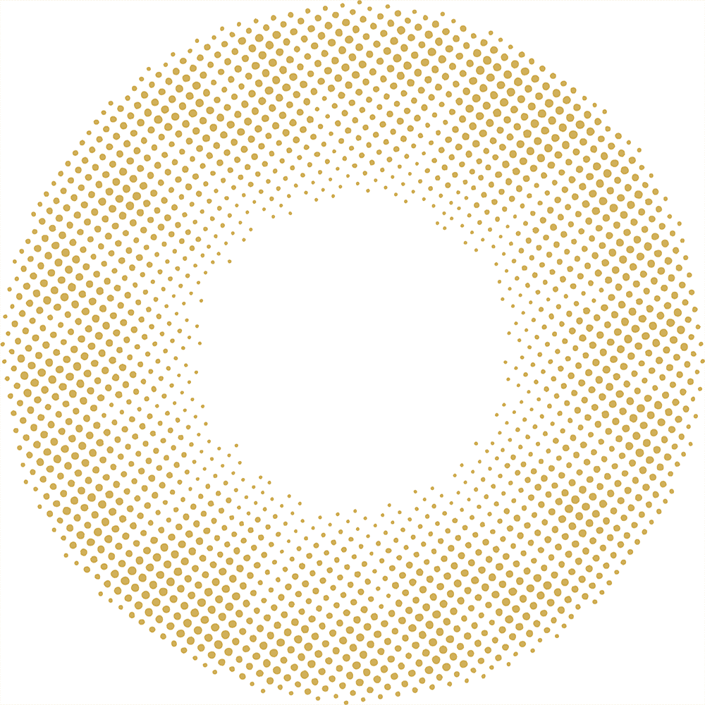 カラーコンタクトレンズ、N’s COLLECTION やきそばパン | 1dayのレンズ画像