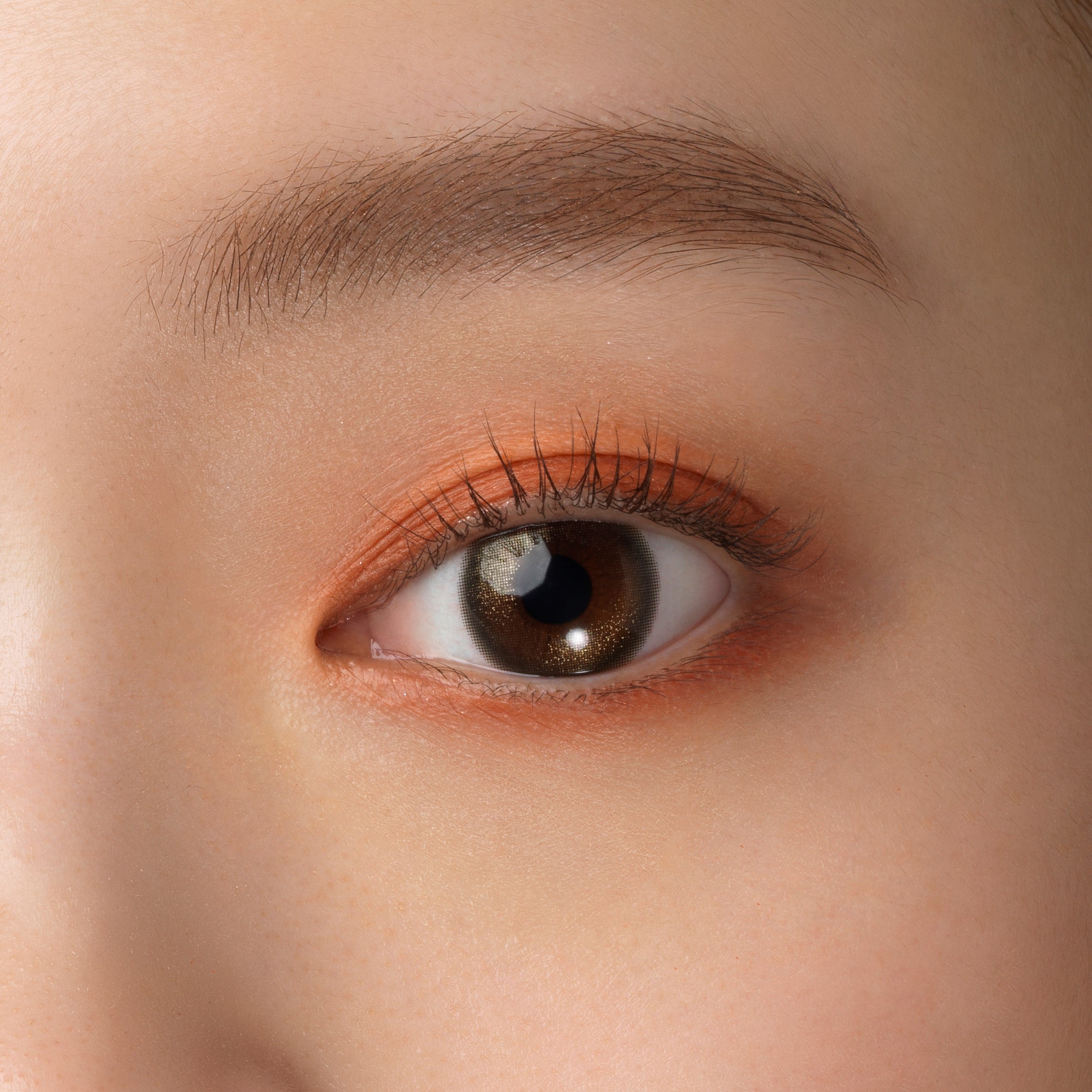 カラーコンタクトレンズ、FAIRY ハイライター | 1dayを装用した状態の目のアップ画像