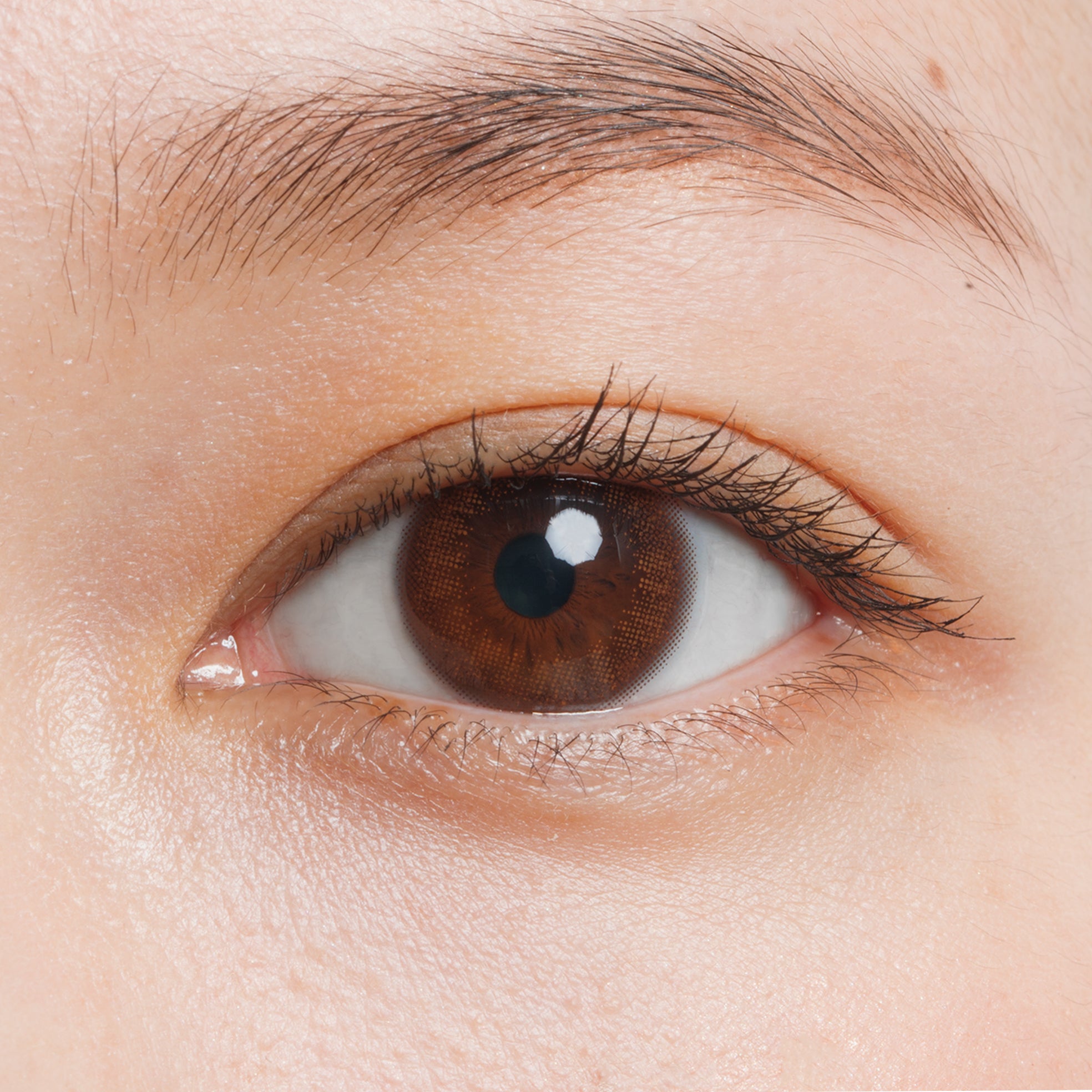 カラーコンタクトレンズ、LuMia パフブラウン コンフォート | 1dayを装用した状態の目のアップ画像