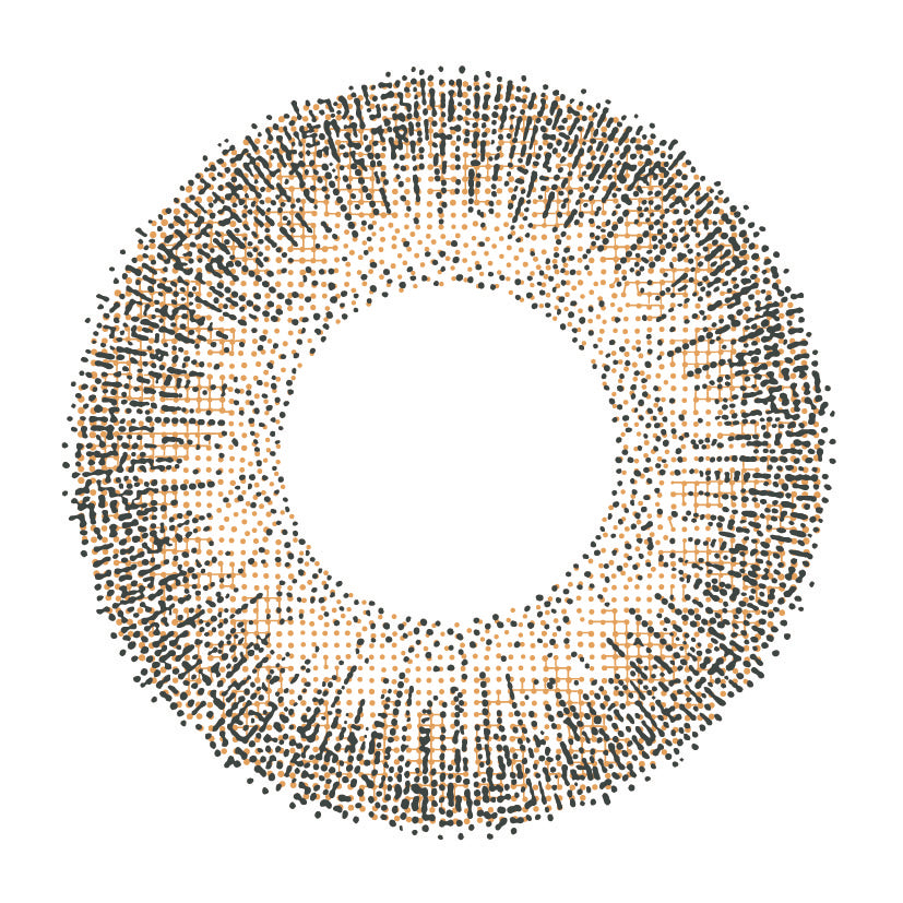 カラーコンタクトレンズ、ReVIA ノスタルジア | 1monthのレンズ画像