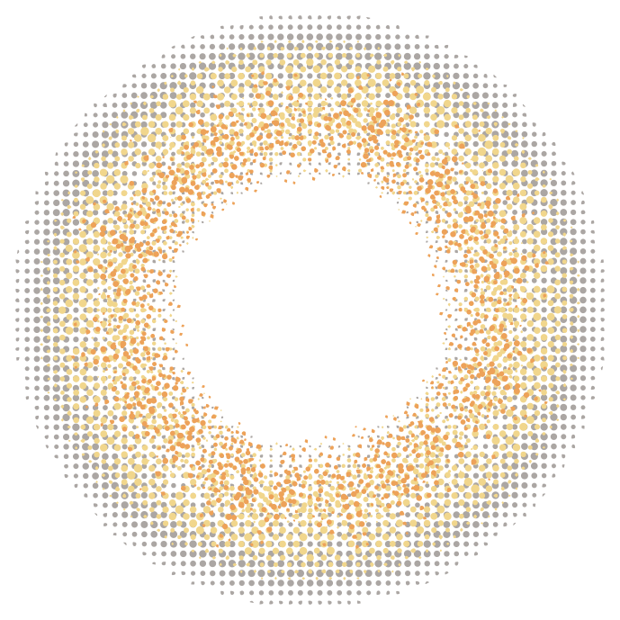 カラーコンタクトレンズ、EverColor スキニーヘーゼル | 1dayのレンズ画像