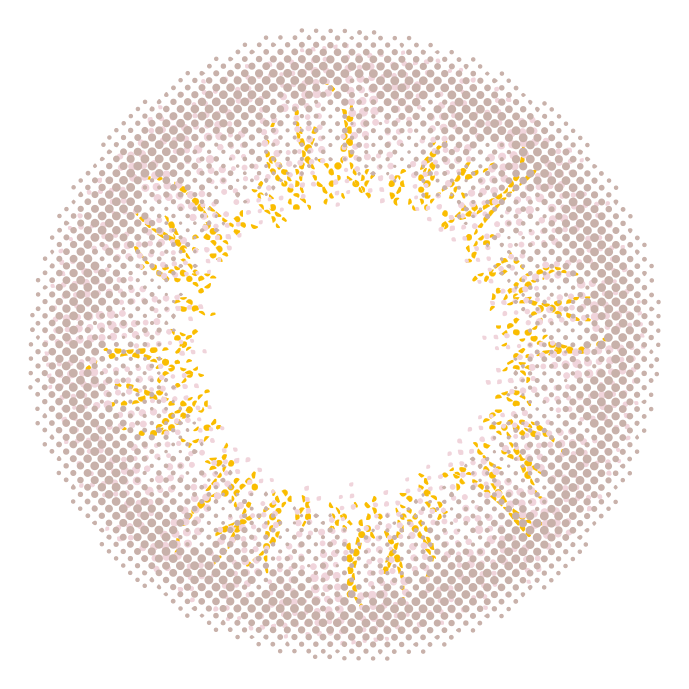 カラーコンタクトレンズ、EverColor モダンラベージュ | 1dayのレンズ画像