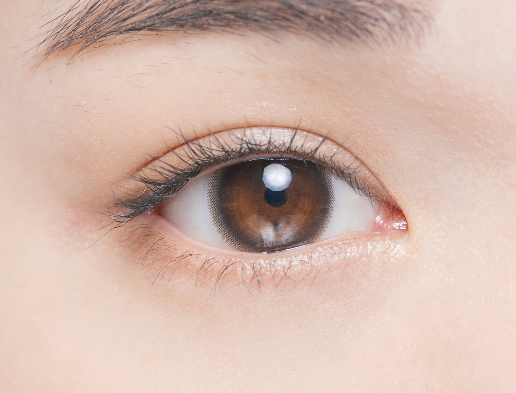 カラーコンタクトレンズ、Chu's me ベイビーブラウン | 1dayを装用した状態の目のアップ画像