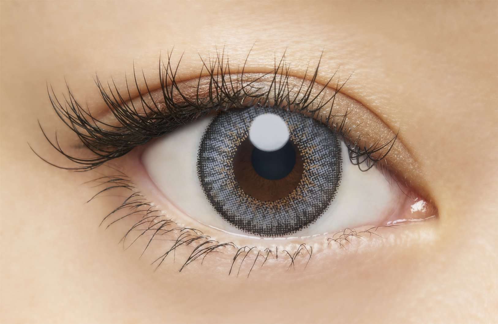 カラーコンタクトレンズ、loveil イノセントアッシュ | 1dayを装用した状態の目のアップ画像