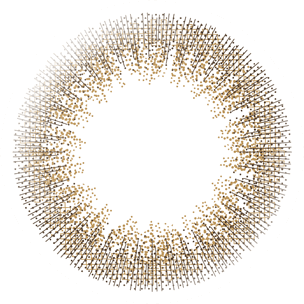 カラーコンタクトレンズ、LALISH シックヴィンテージ | 1dayのレンズ画像