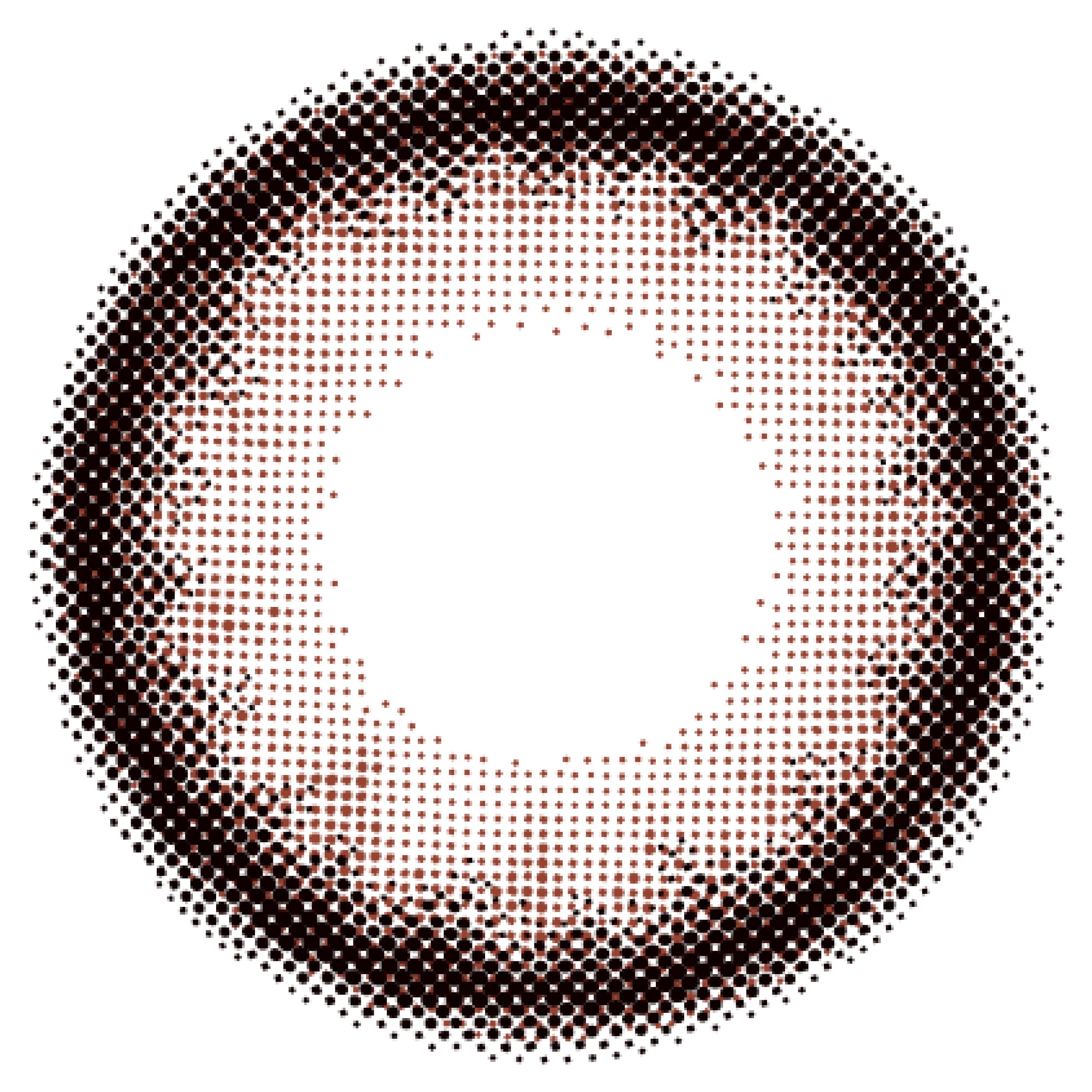 カラーコンタクトレンズ、Angelcolor カシスブラウン | 1dayのレンズ画像