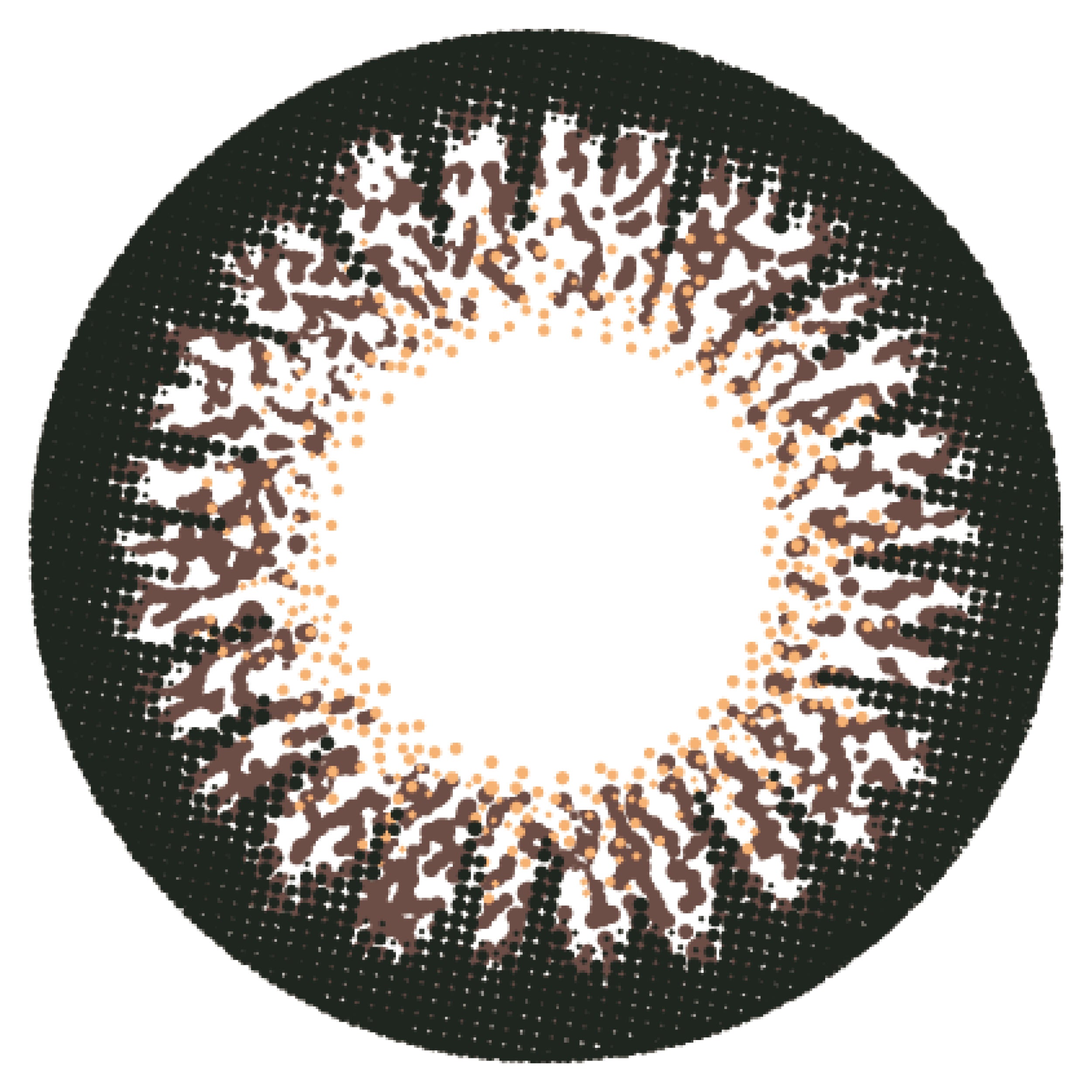 カラーコンタクトレンズ、Angelcolor ショコラ | 1day 10枚入のレンズ画像