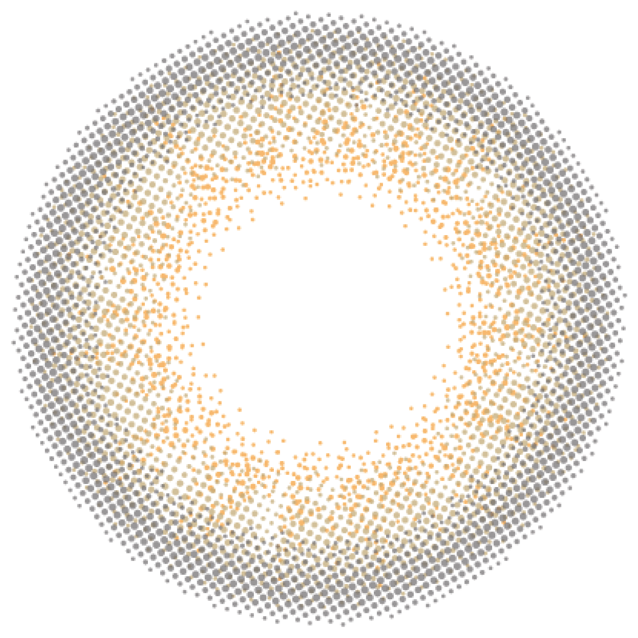 カラーコンタクトレンズ、loveil ラスターグレー | 1dayのレンズ画像