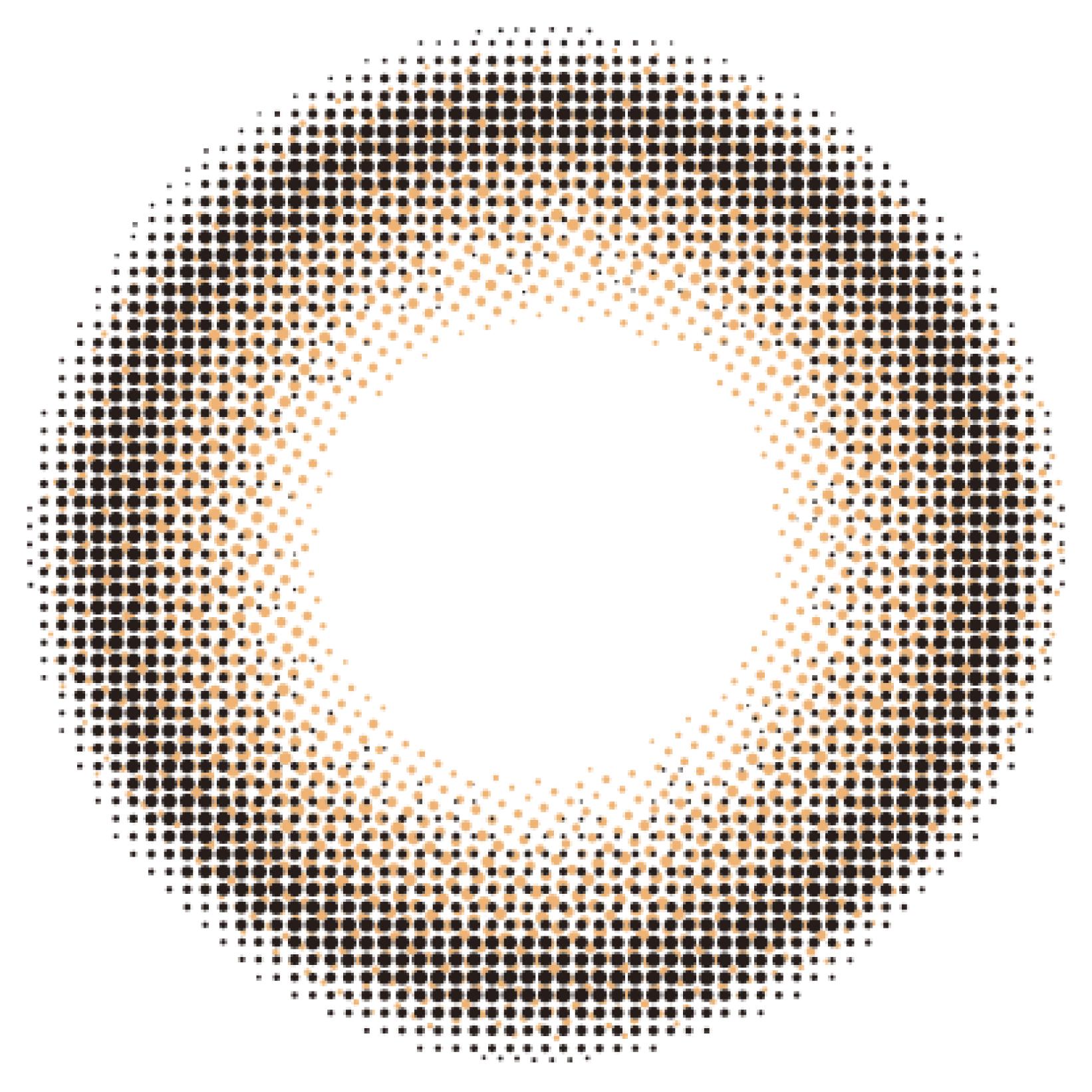 カラーコンタクトレンズ、Chu's me メルティーココア | 1dayのレンズ画像