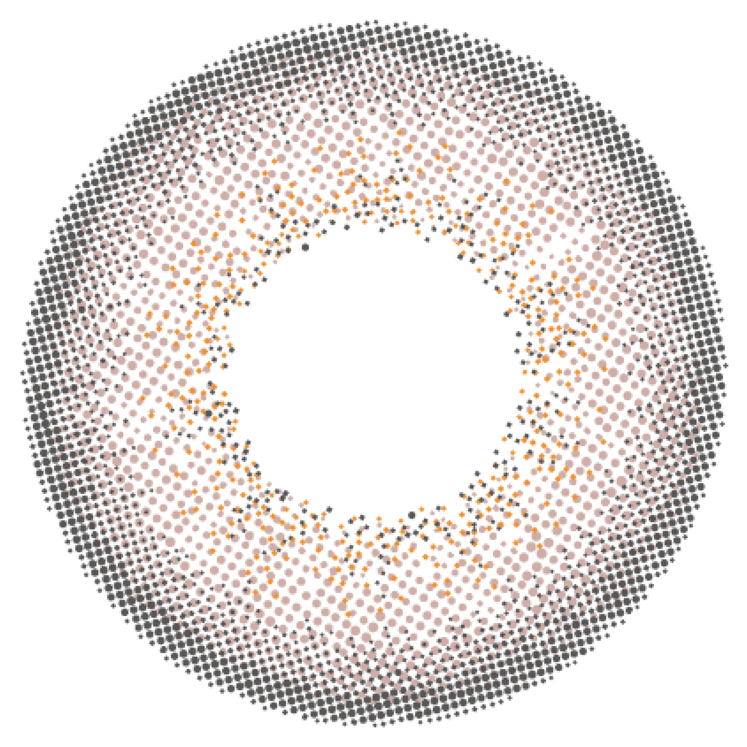 カラーコンタクトレンズ、Angelcolor パールグレー | 1dayのレンズ画像