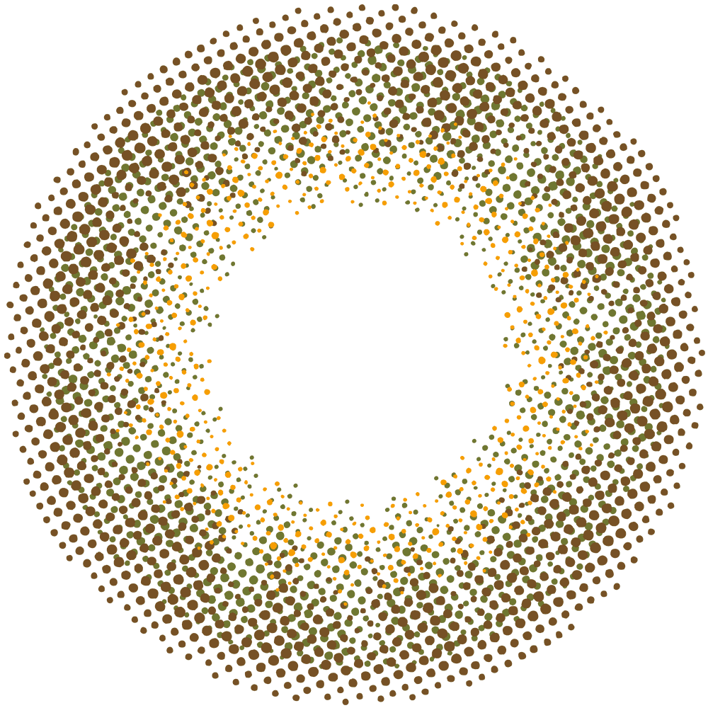 カラーコンタクトレンズ、N’s COLLECTION 抹茶ラテ | 1dayのレンズ画像