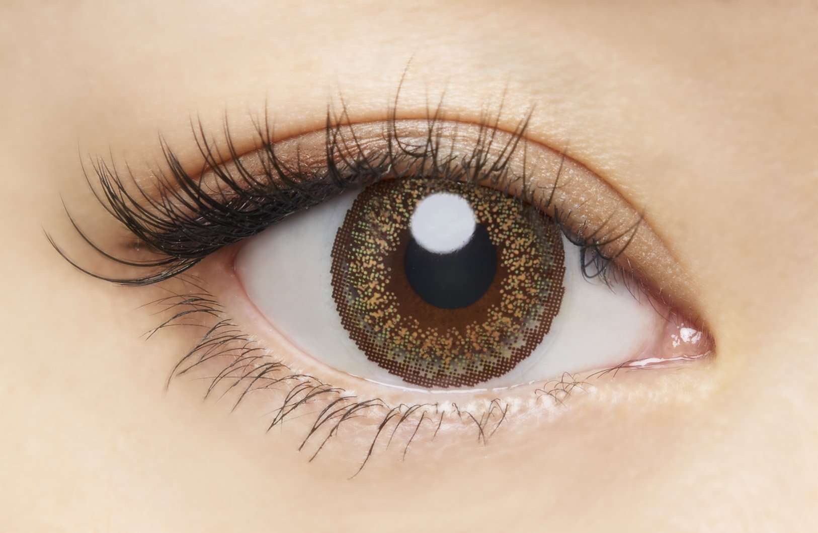 カラーコンタクトレンズ、loveil シアーヘーゼル | 1dayを装用した状態の目のアップ画像