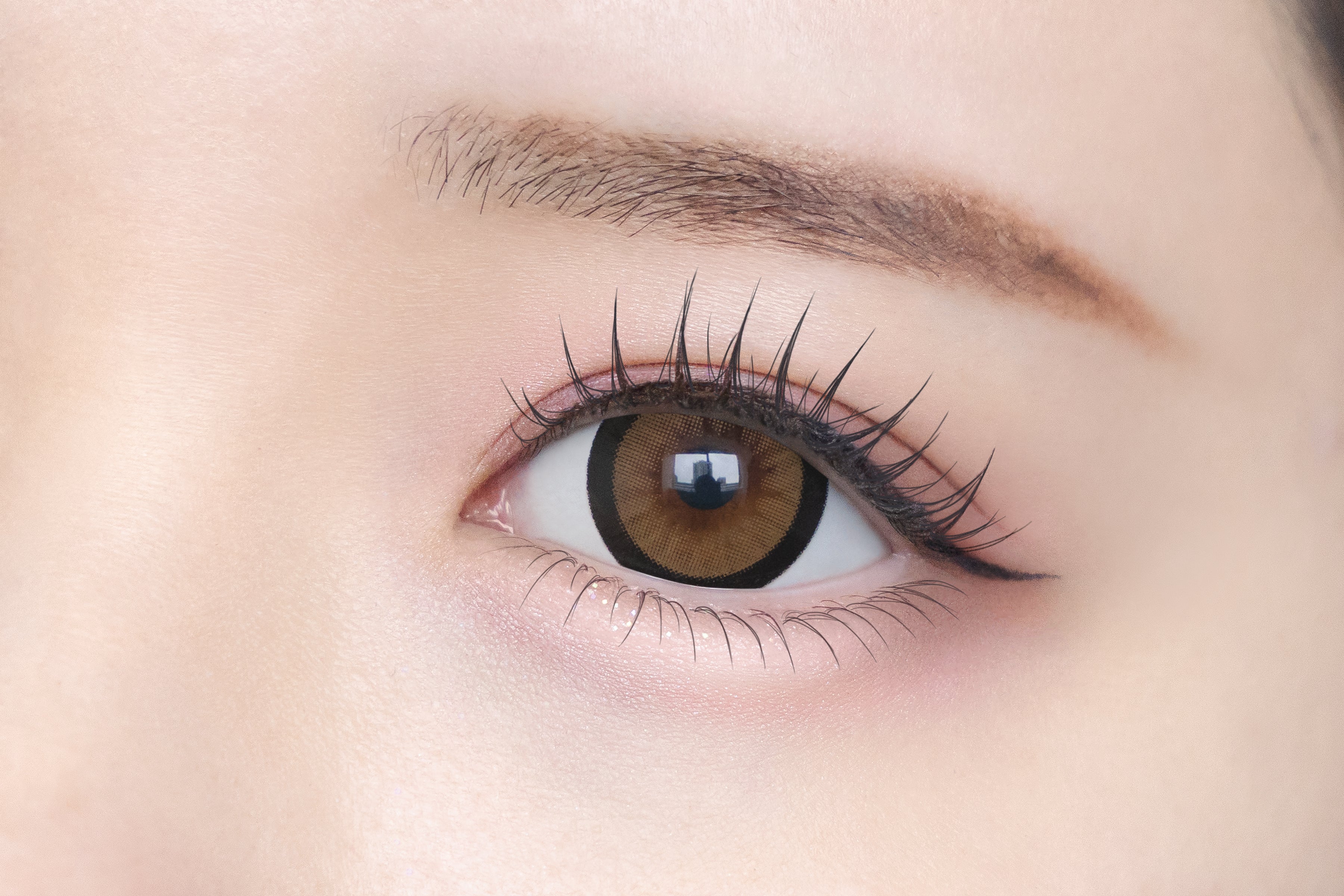 Kamel mit Verkleidung [Chapun] | 1day 