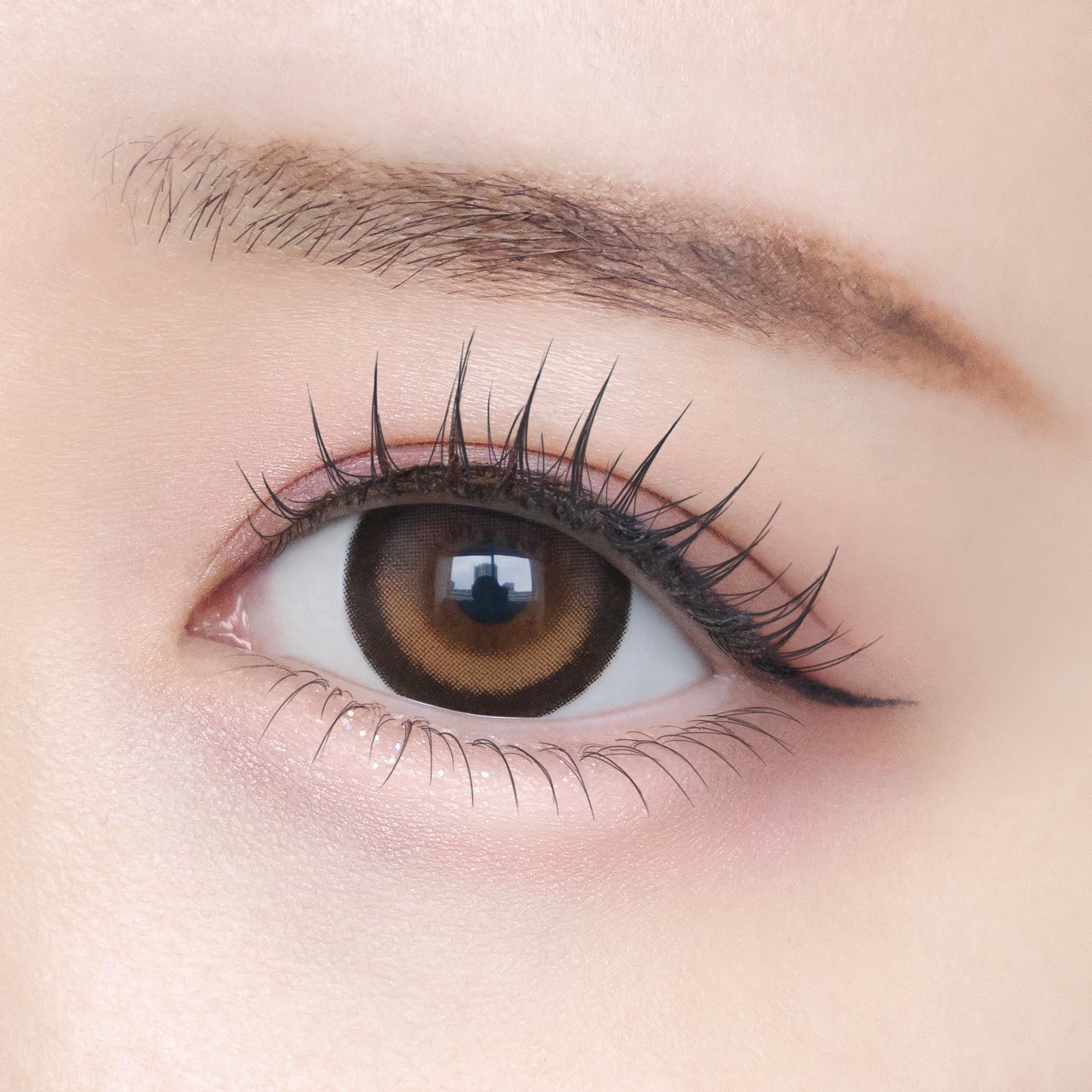 Stop-the-Clock Brown | Chapun 1day Colored Contact Lens | Push!Color