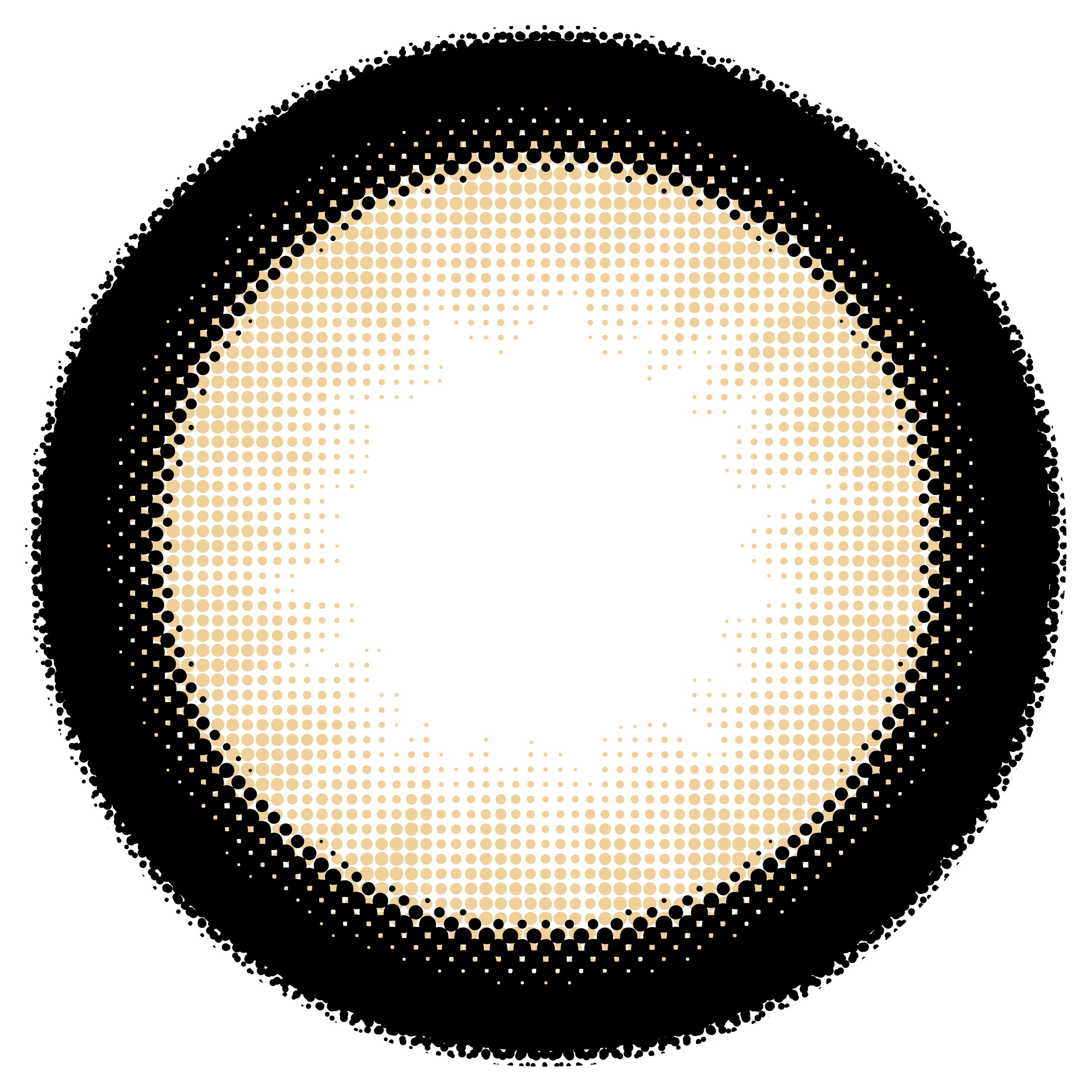 おめかしキャメル [Chapun] | 1day