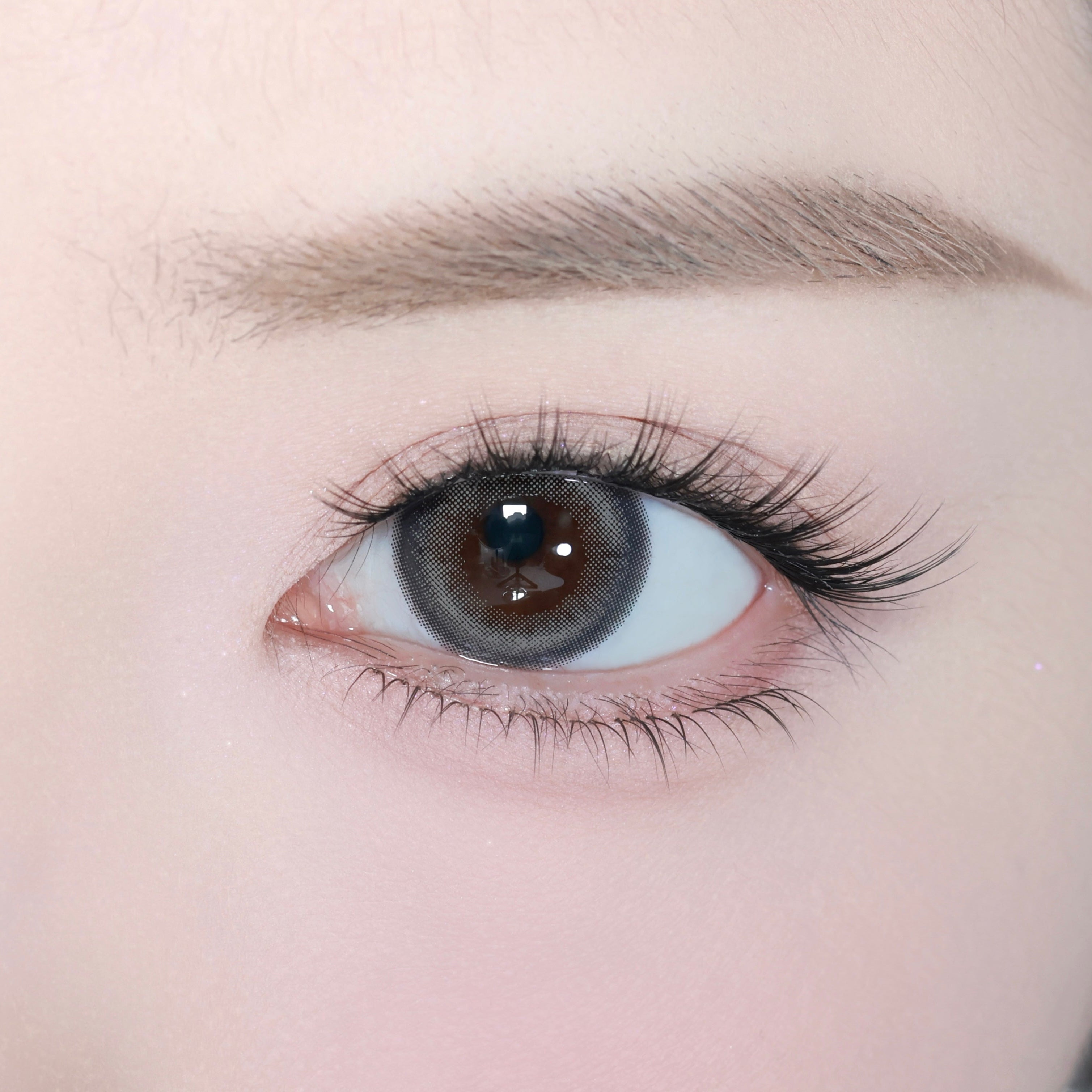 Tageslichtgrau [eyestar] | 1day 