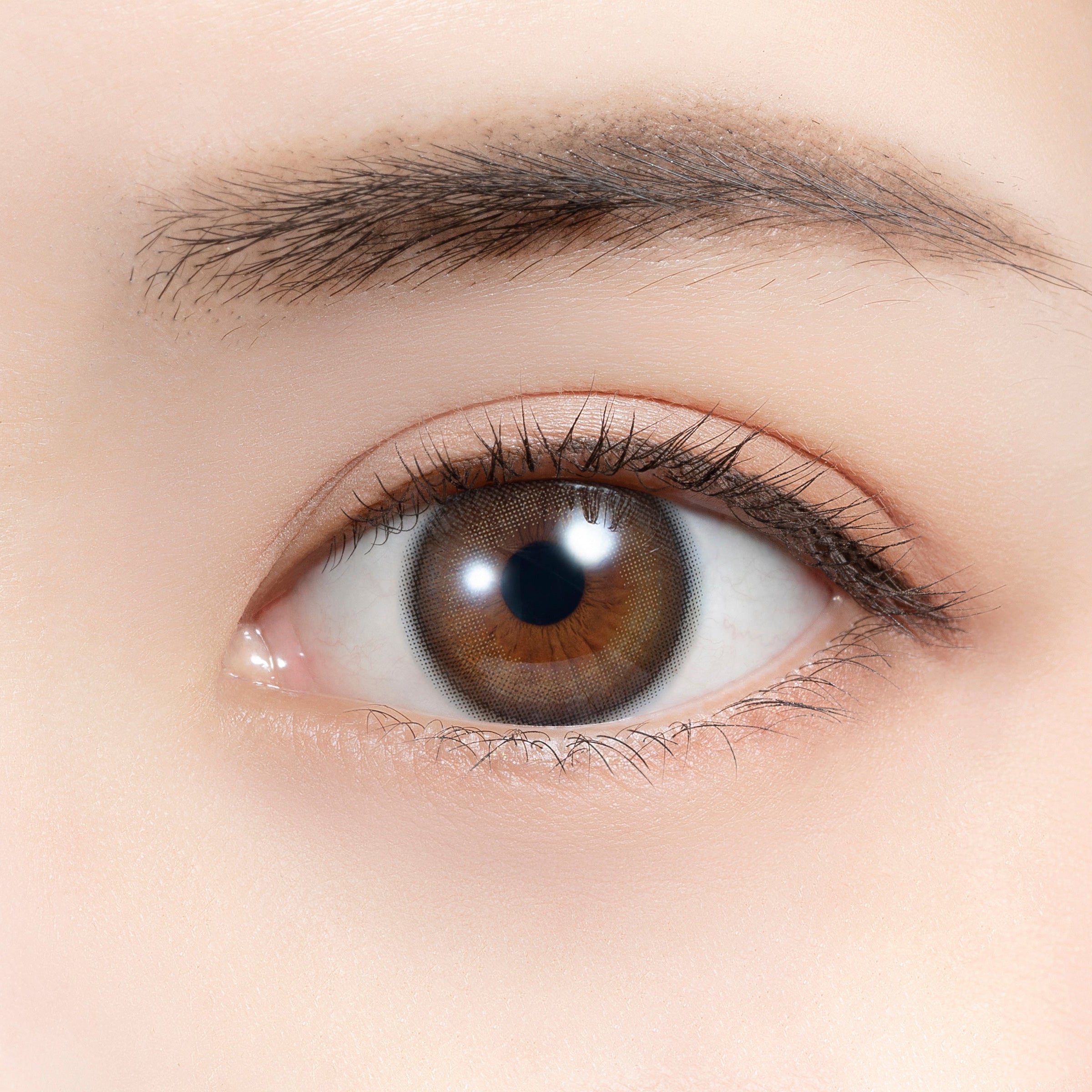 Kopi sifar Kanta torik [MOLAK] | 1day 