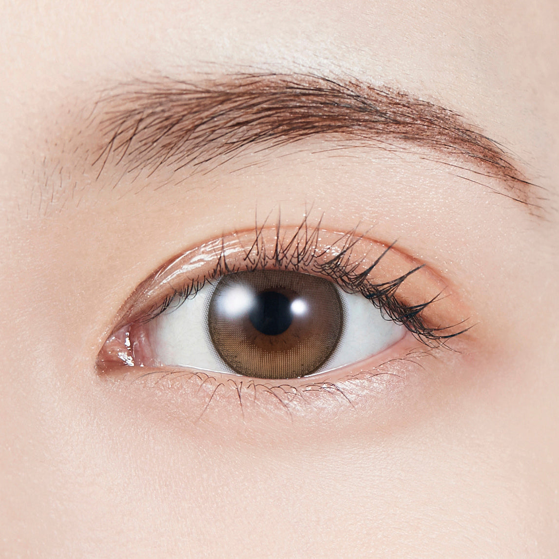 dawlishMarron Lentilles toriques | 1 jour