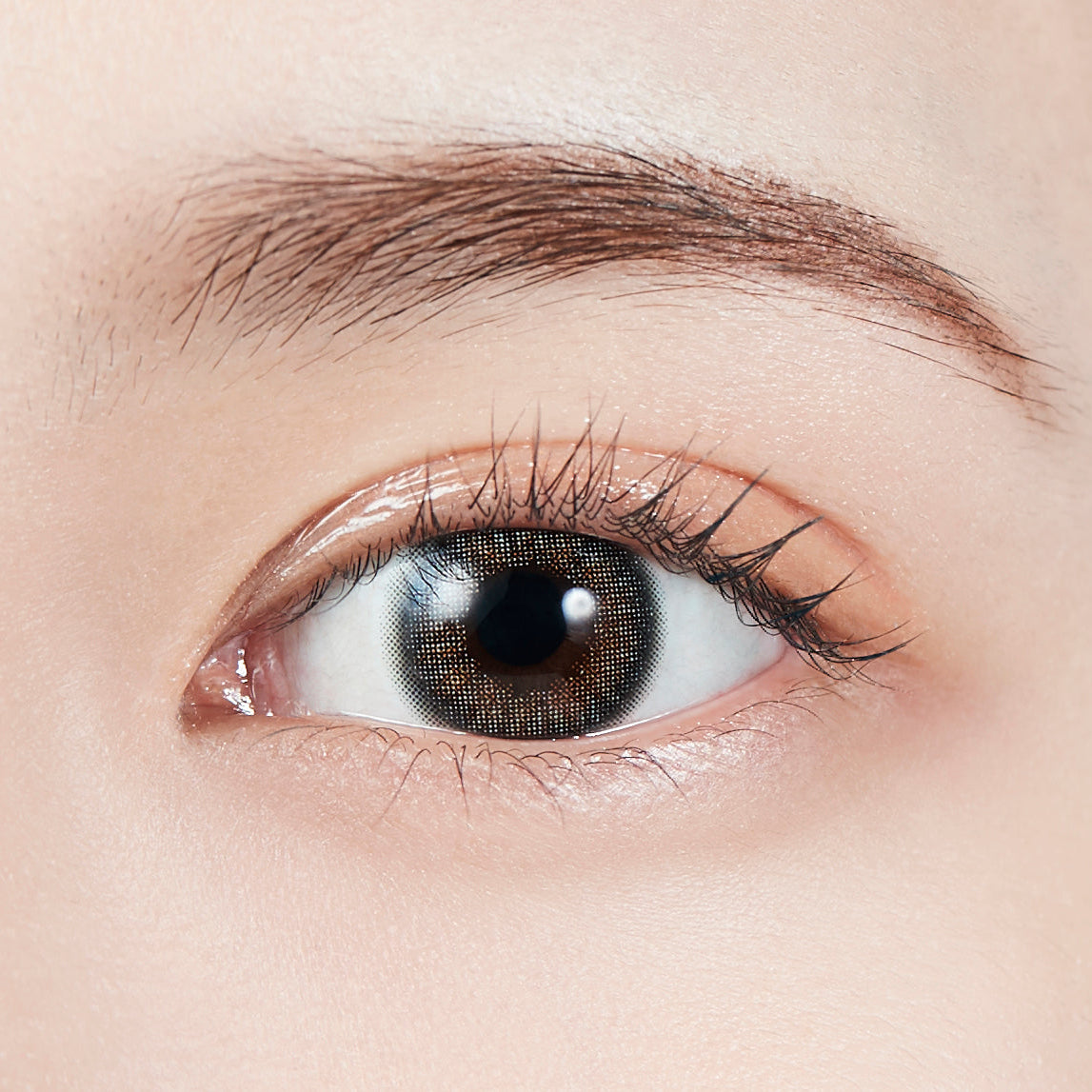 Mirror Gray | MOLAK 1day Colored Contact Lens | Push!Color