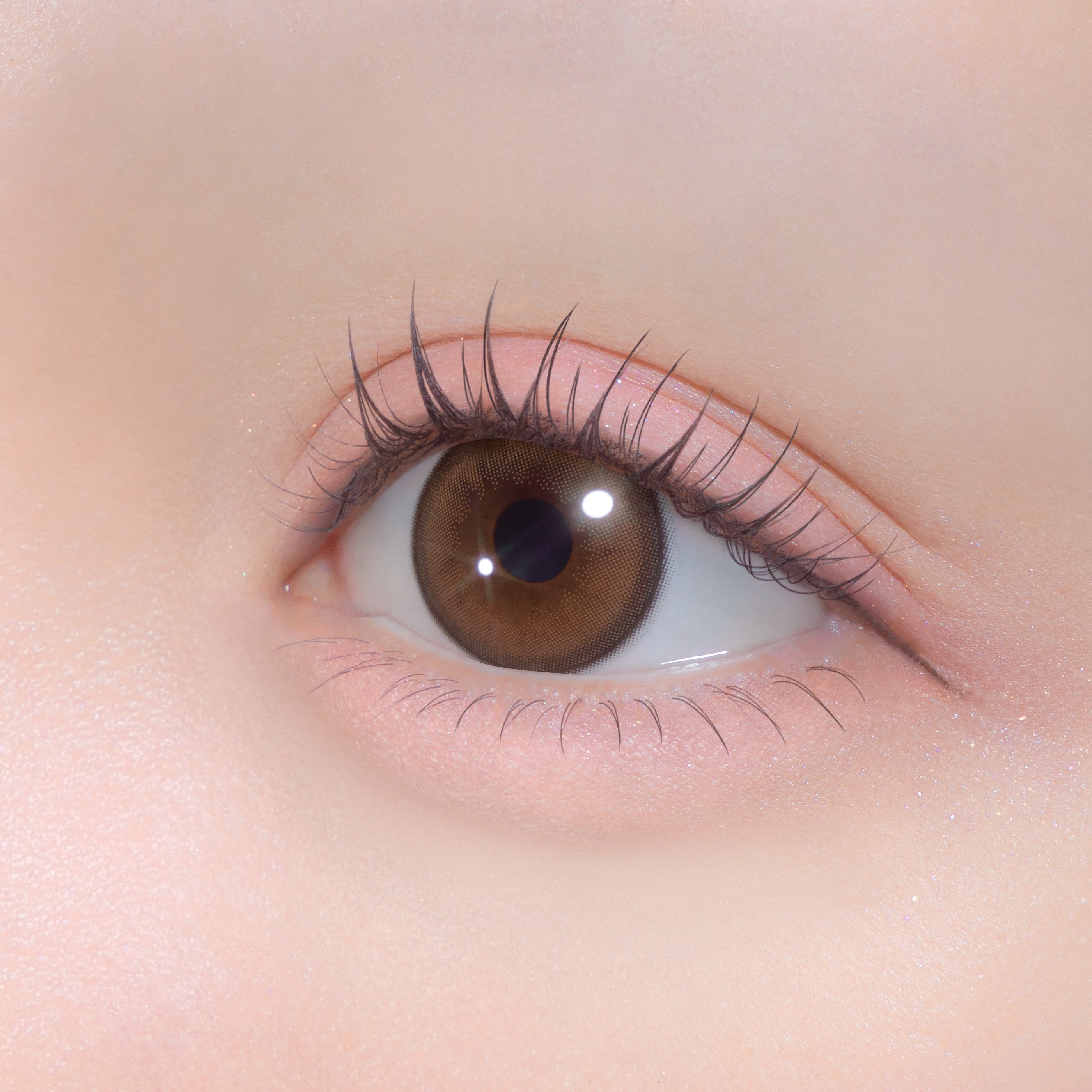 Kirayume Brown [Chapun] | 1day Colored Contact Lens - DIA 14.5mm