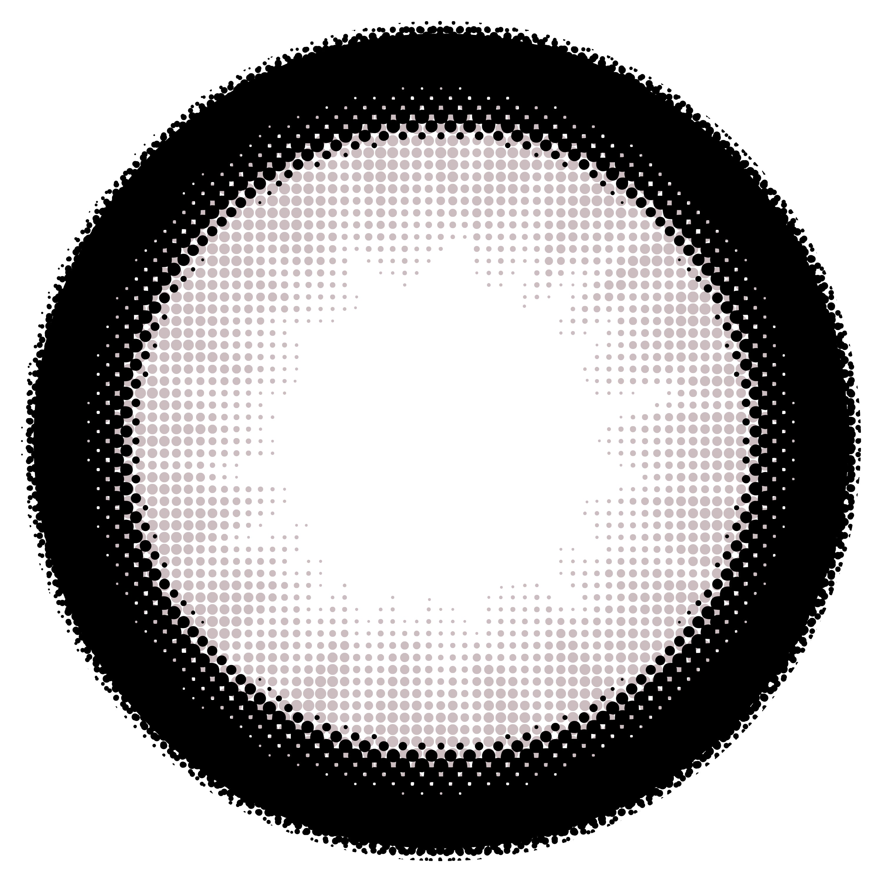 おてんばピンク [Chapun] | 1day