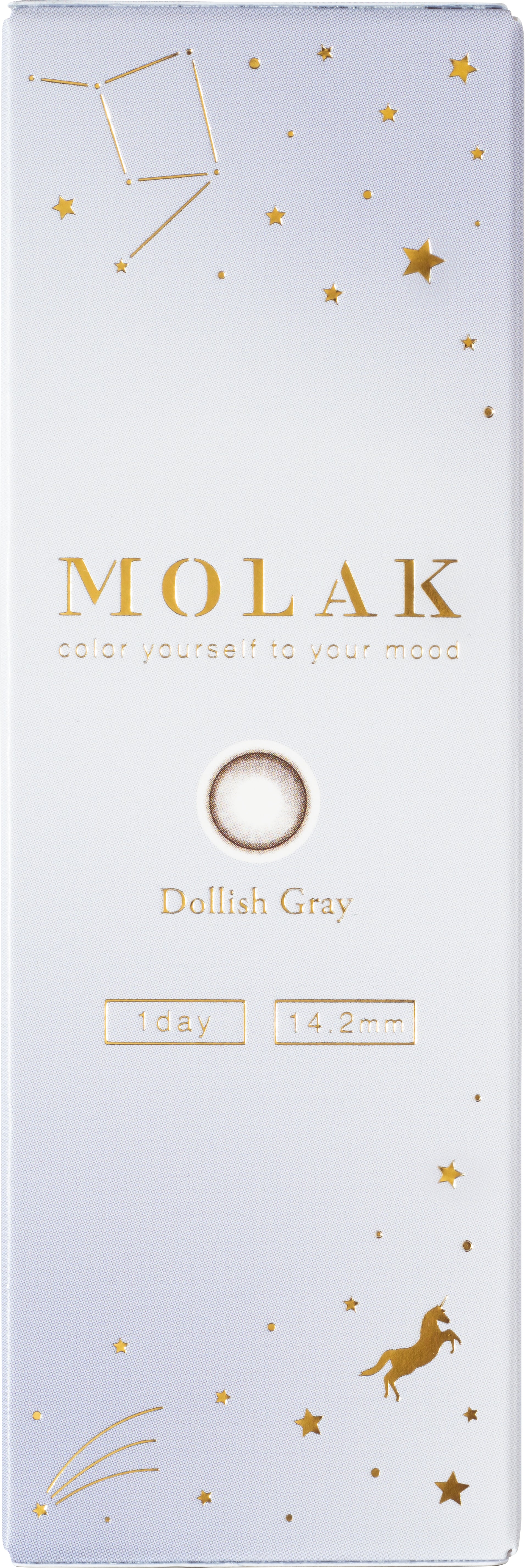 Dollish Gray | 1day